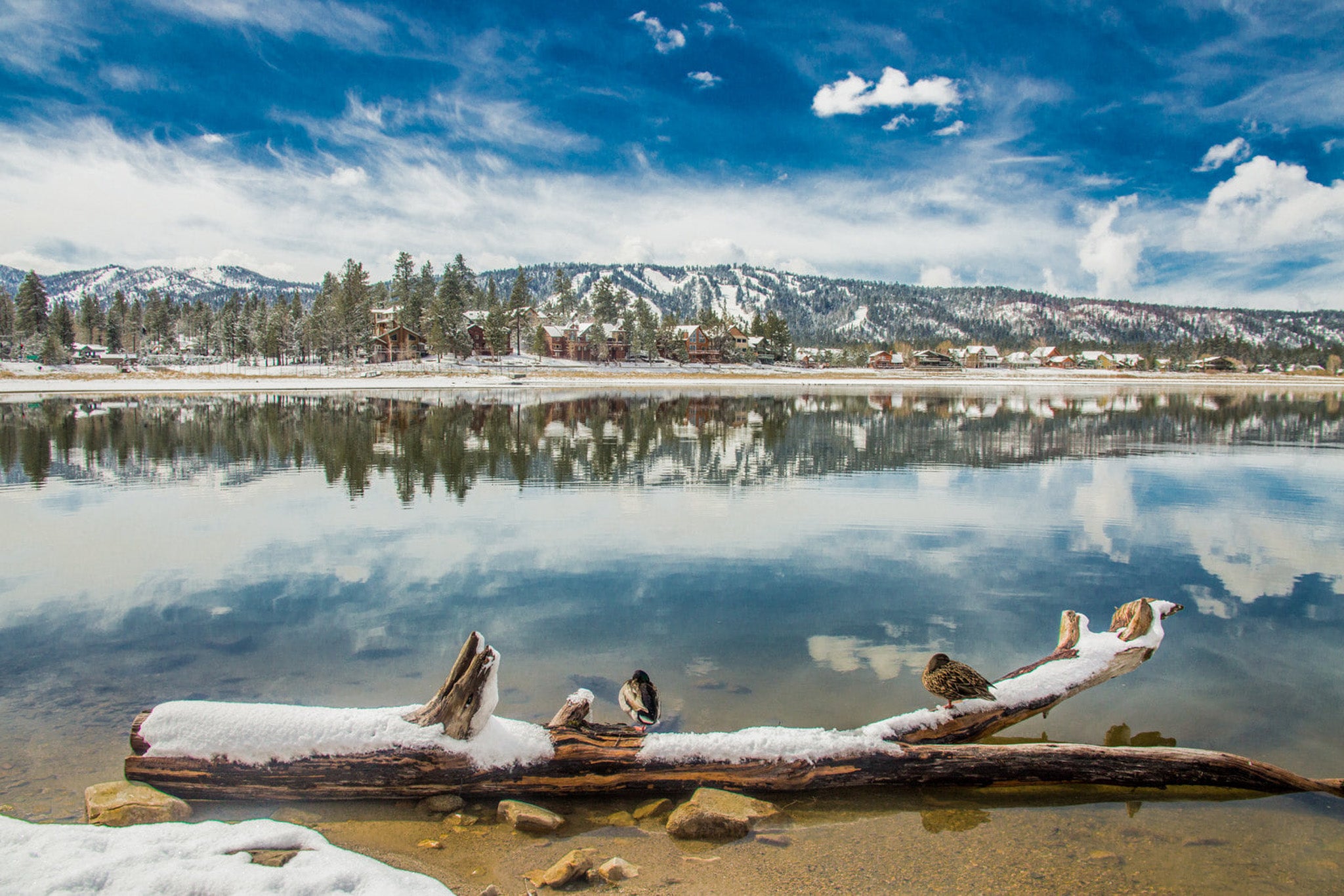 Snow-covered landscape with a lake, mountains, and a log with birds on a beach.