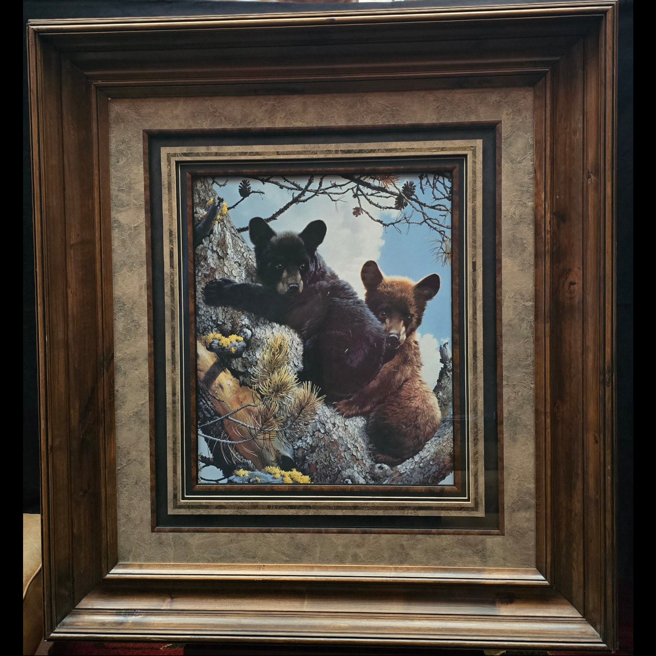 Two Black Bear Cubs Climbing in a Pine Tree with a Wood Frame