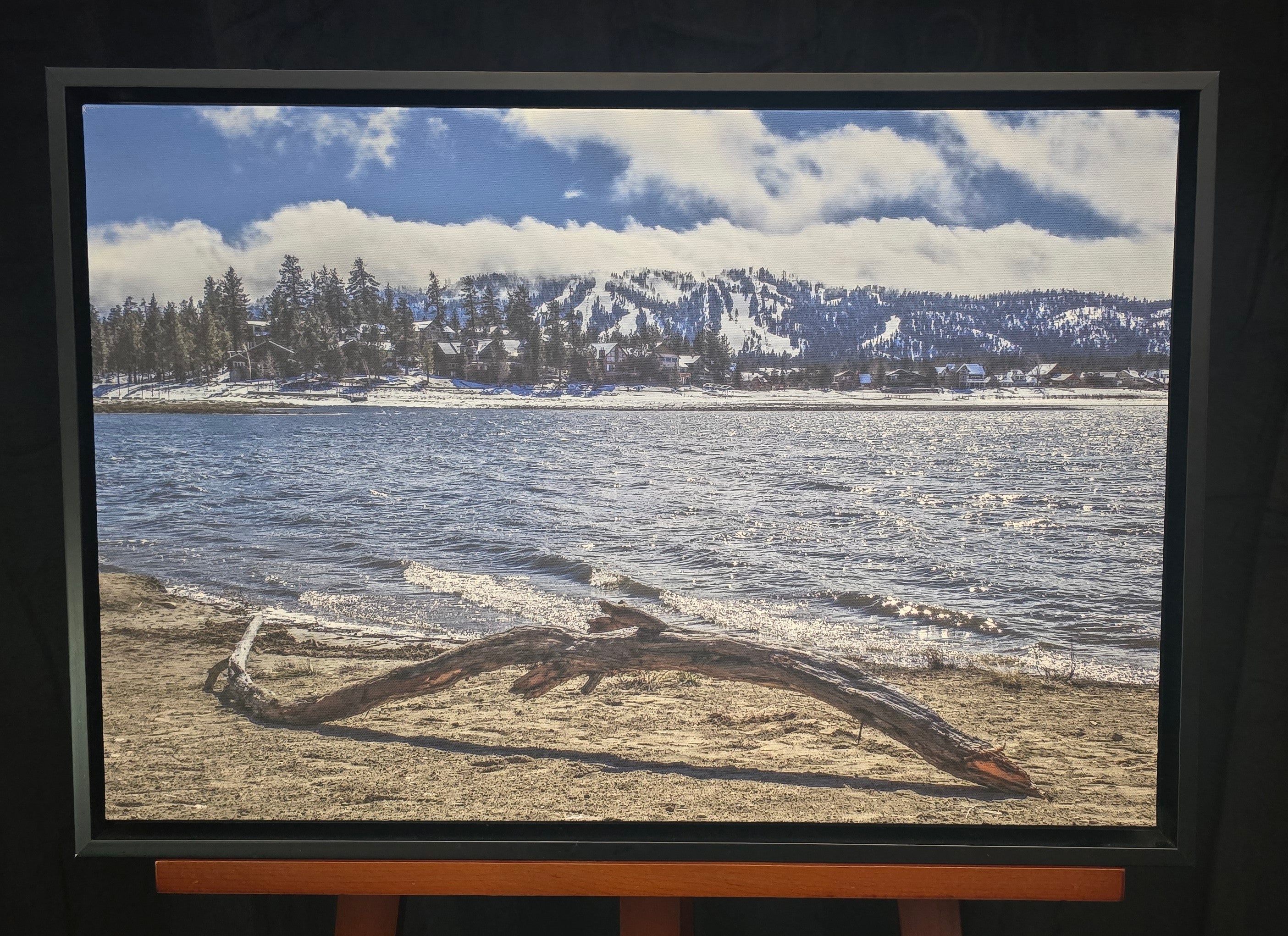 Framed Photograph taken by Janice Etters of Big Bear Lake 2017 "Winter Driftwood"