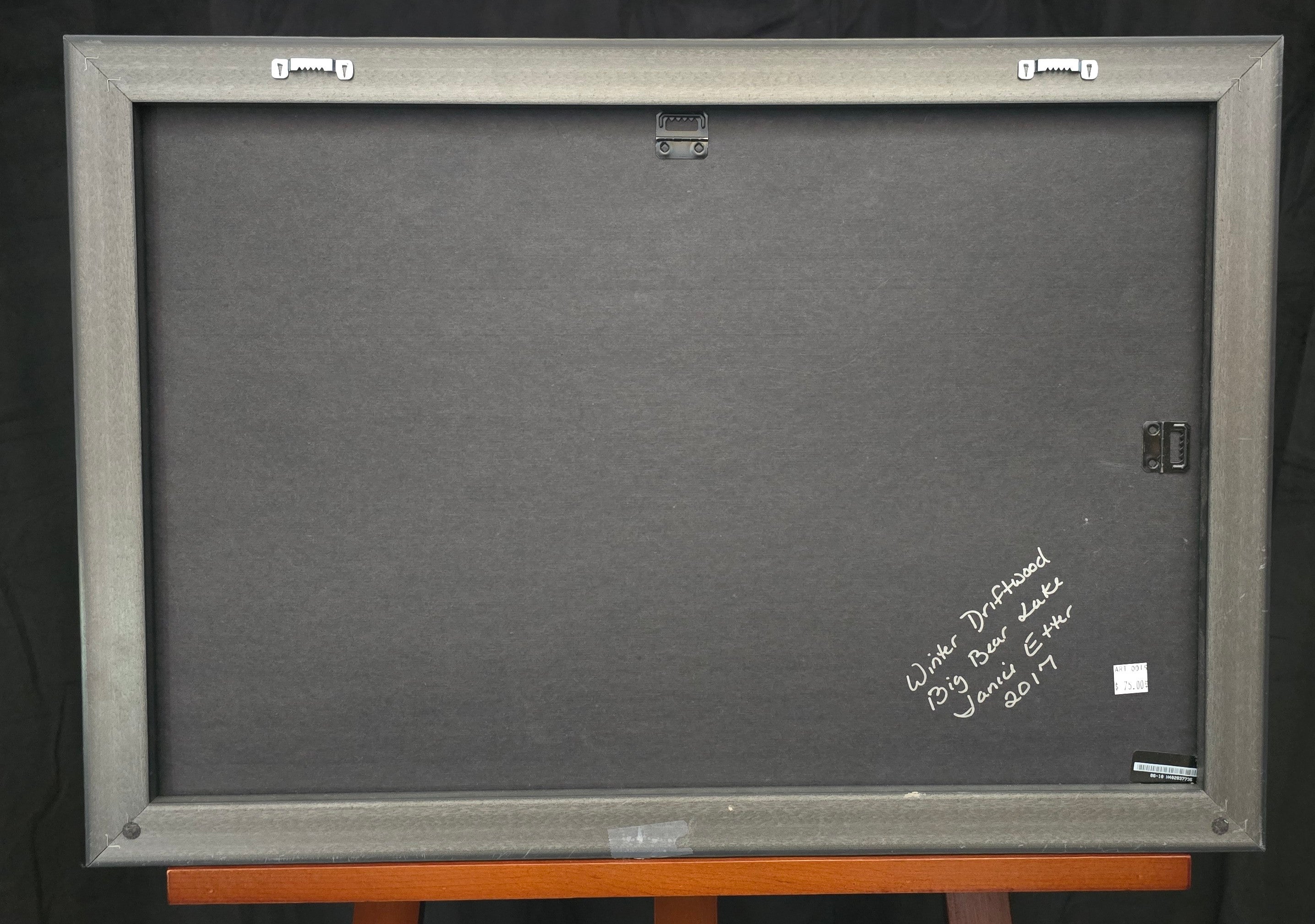 Framed Photograph taken by Janice Etters of Big Bear Lake 2017 "Winter Driftwood"