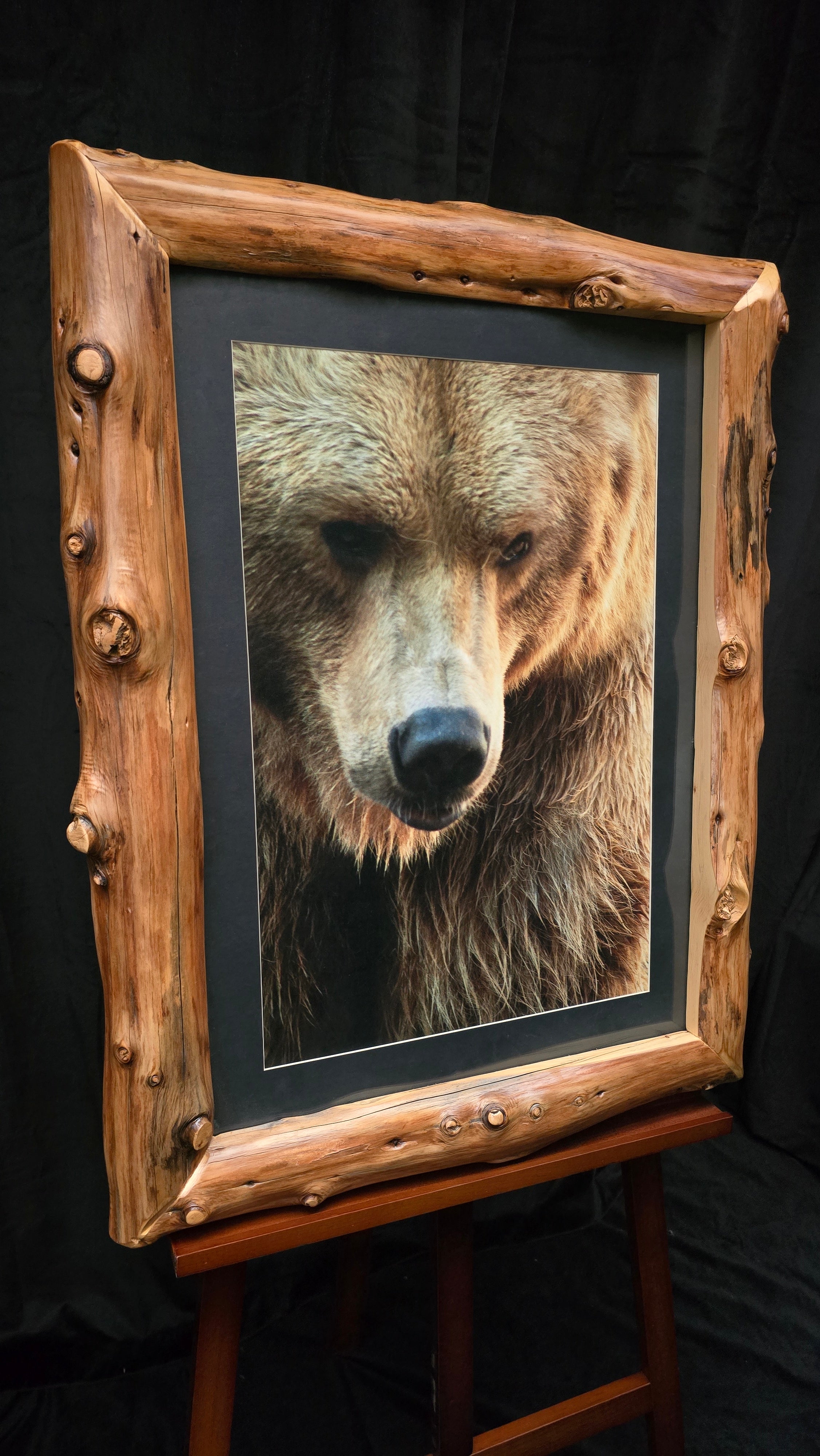 Original Alaskan Grizzly Bear Photo with Custom Log Frame