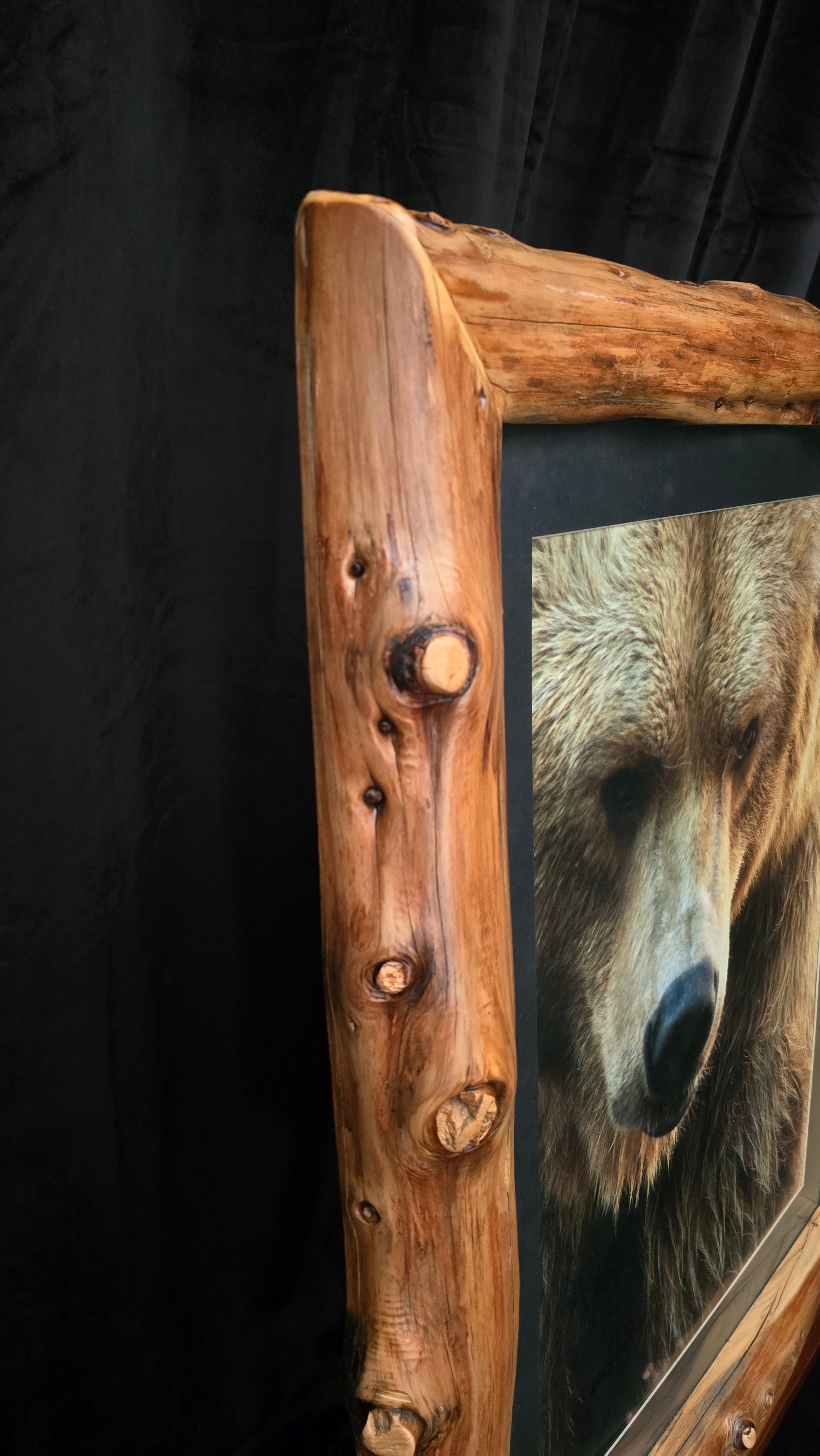Original Alaskan Grizzly Bear Photo with Custom Log Frame