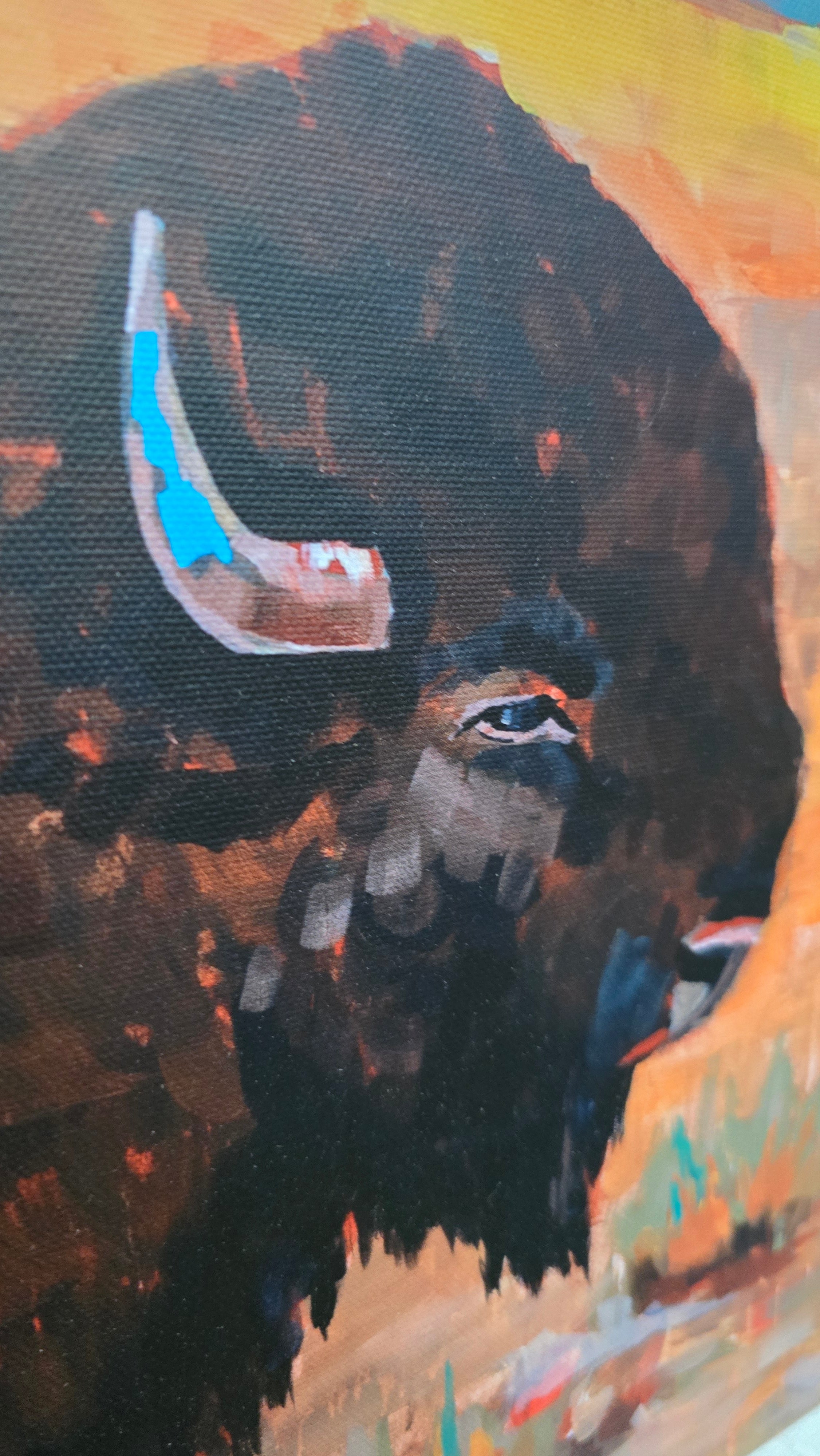 Custom White Solid Wood Framed Canvas Transfer Print of Buffalo at the Ridge