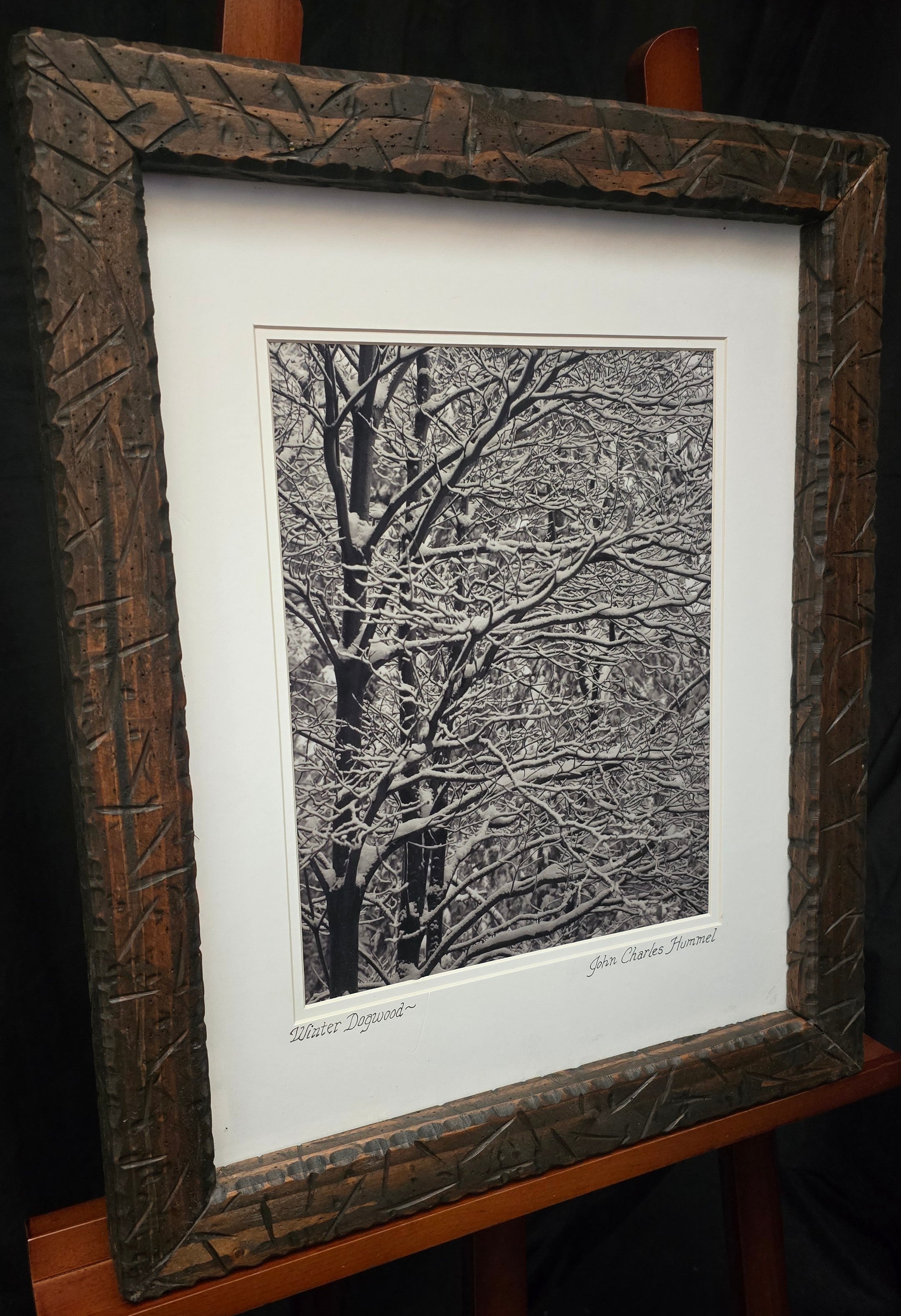 Original Picture "Winter Dogwood"  taken by John Charles Hummel