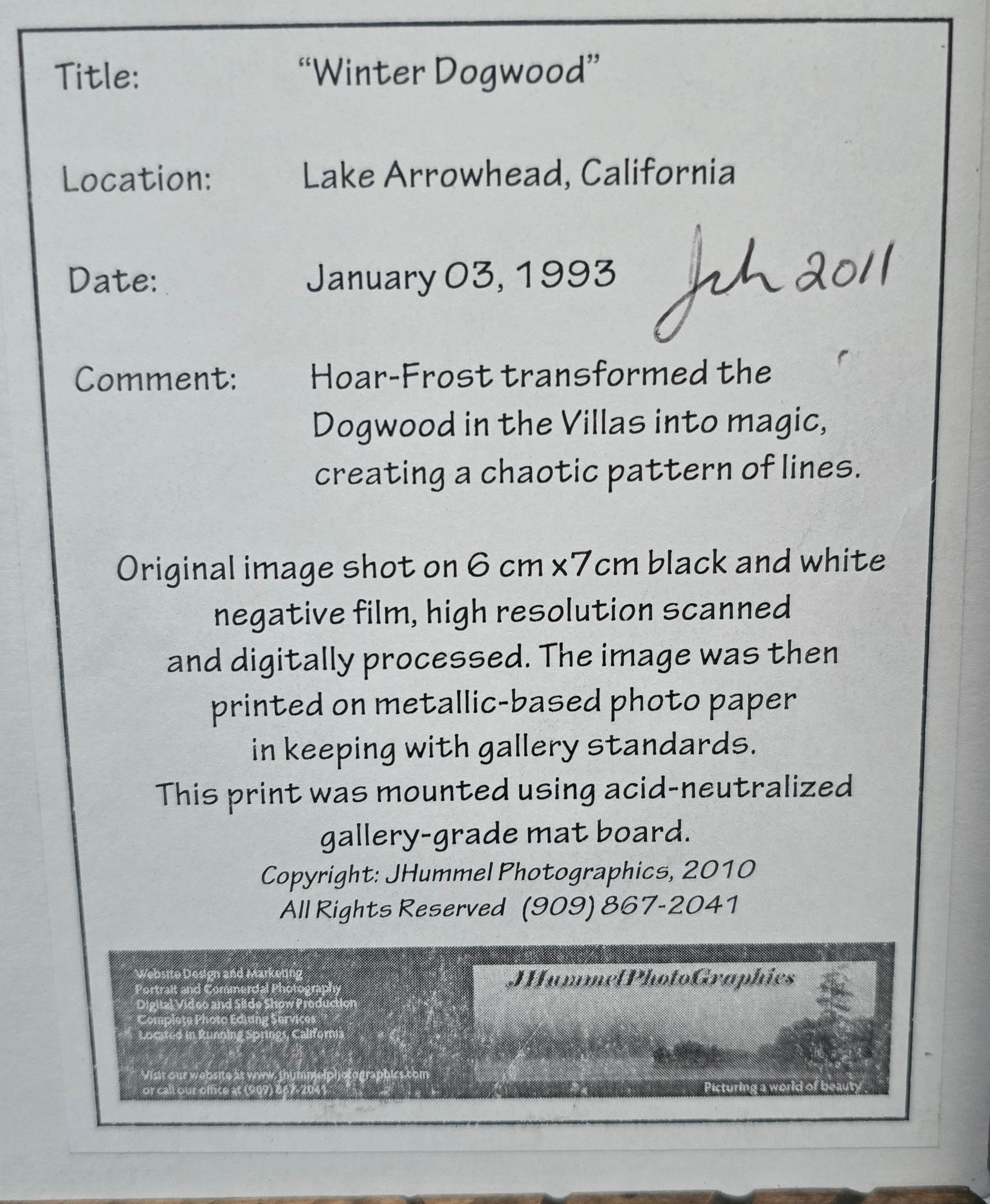 Original Picture "Winter Dogwood"  taken by John Charles Hummel