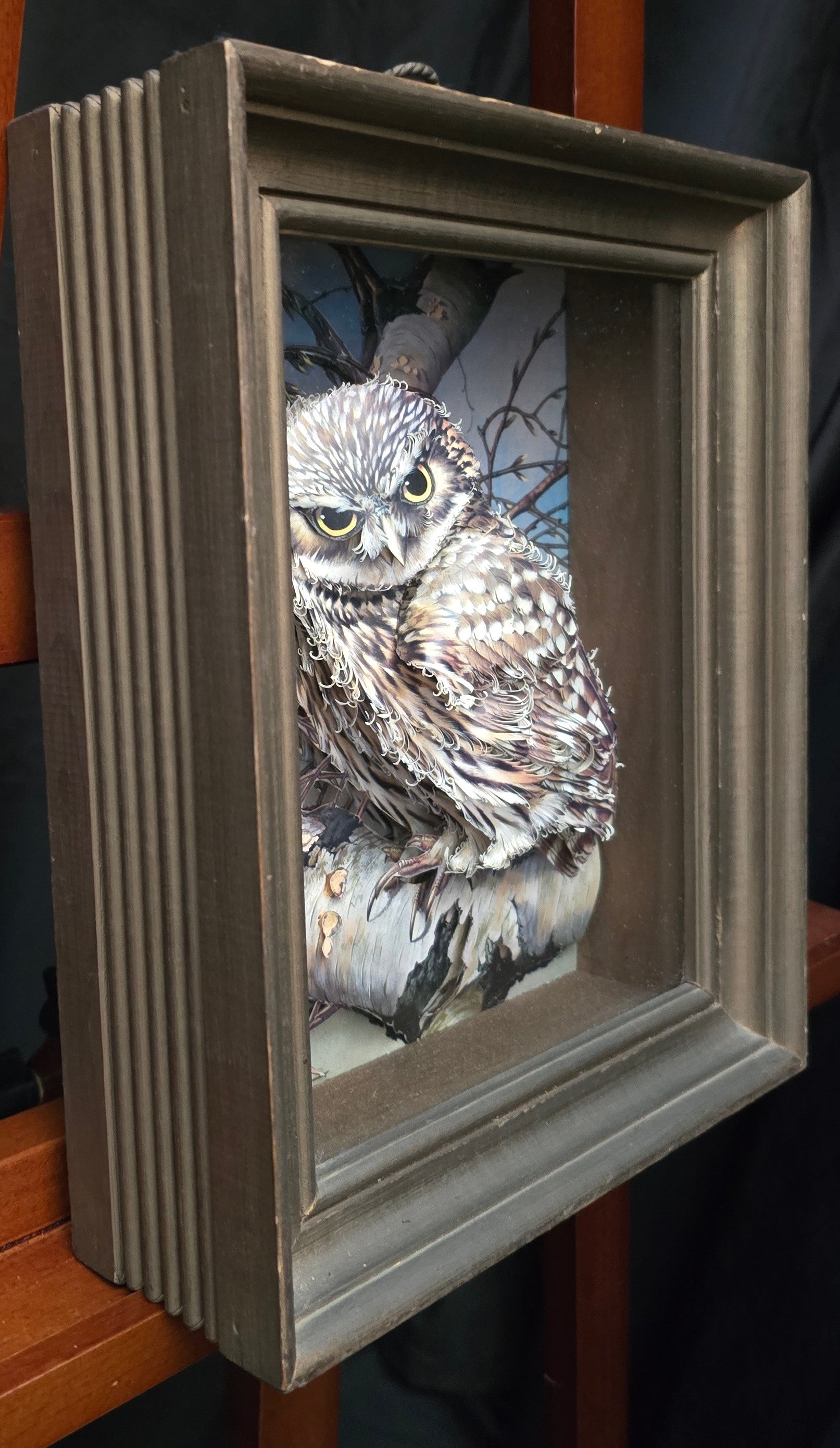 Basil Ede "The Little Owl" Paper Cut 3 Dimensional  Print Decoupage Shadow Box
