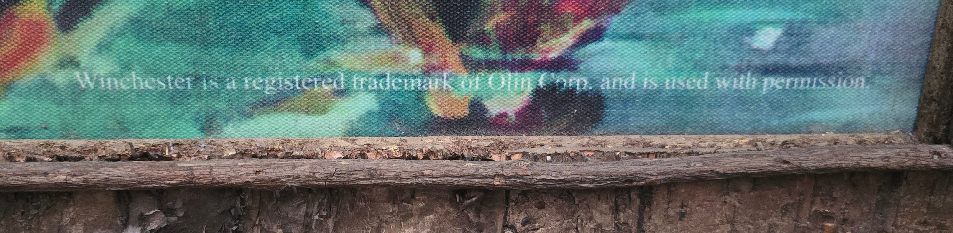 "Reeling in a Big One" By Jimi McKee Canvas Transfer with Custom Birch Bark Adirondack Style Frame