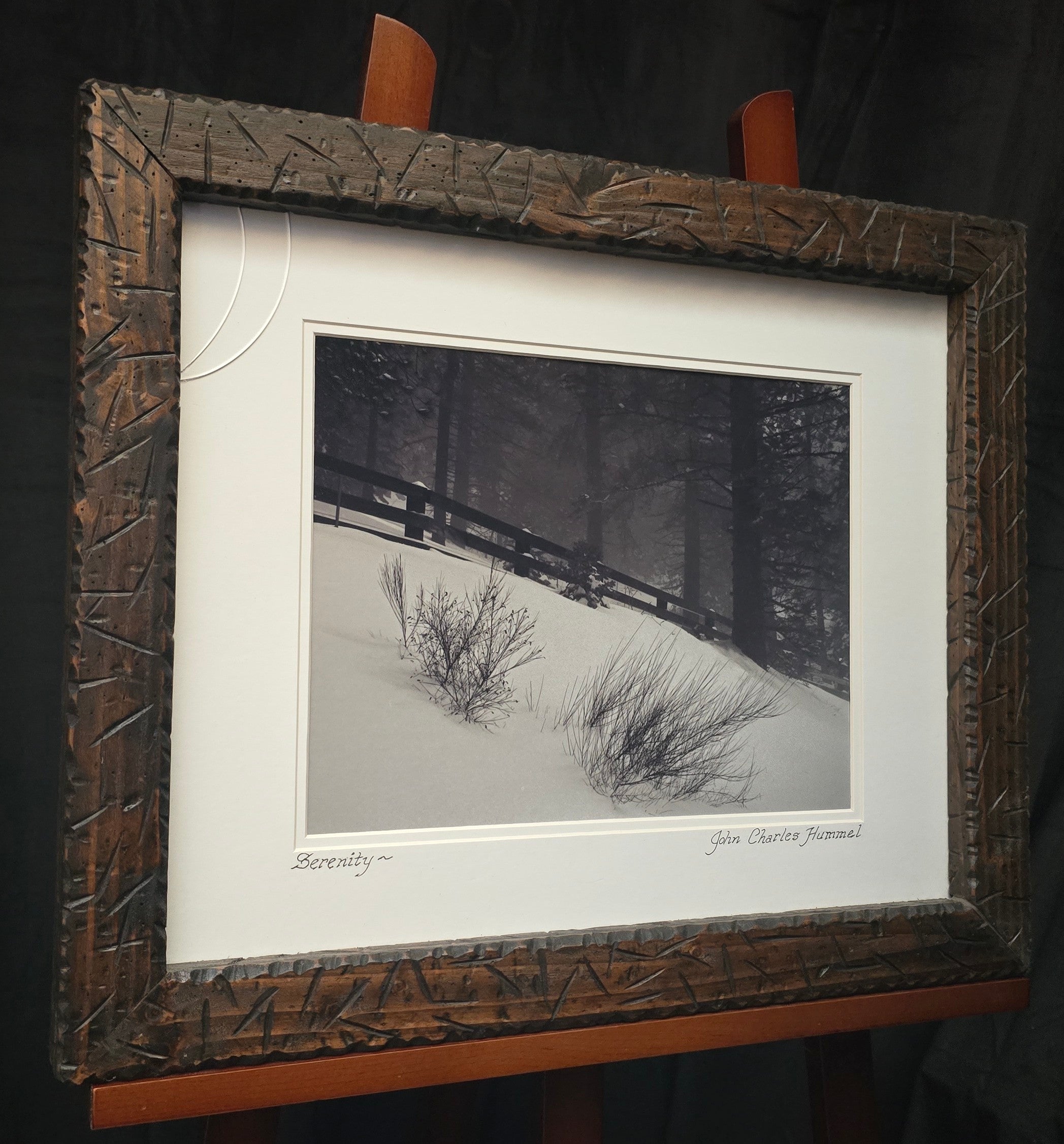 Black & White "Serenity" Photograph by John Charles Hummel in Running Springs 2002