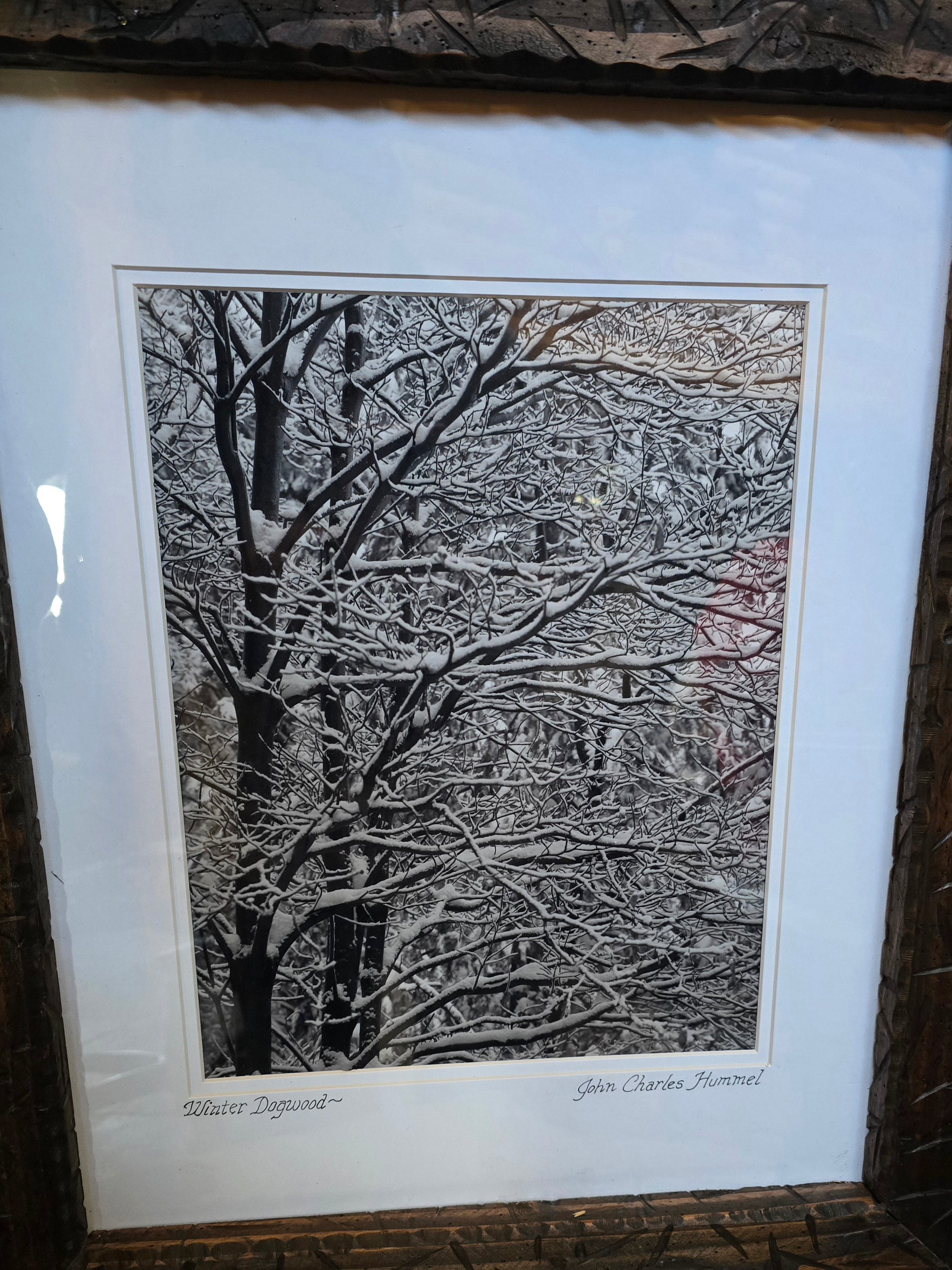 Original Picture "Winter Dogwood"  taken by John Charles Hummel