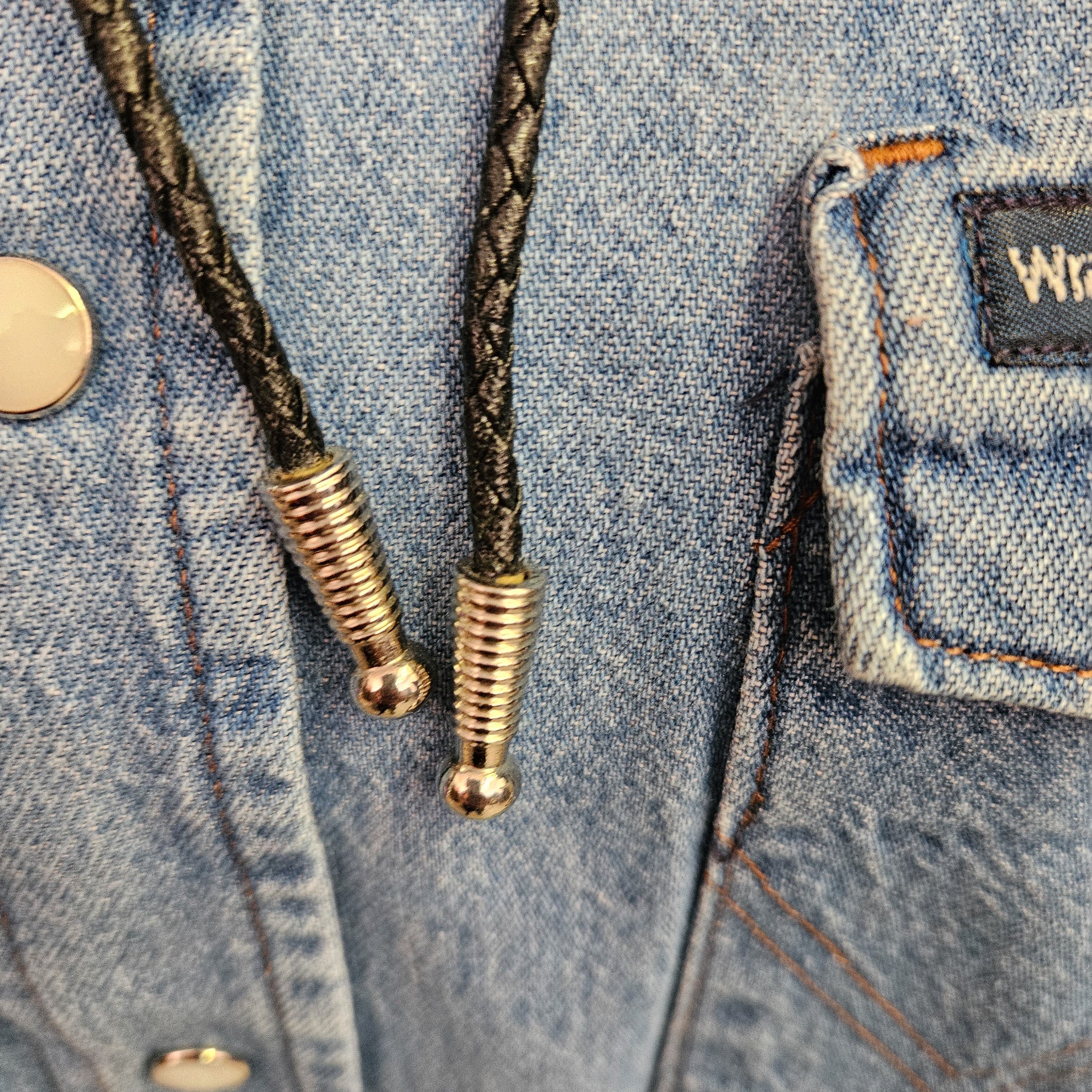 Landscape Silver Encased Jasper Stone Bolo Tie