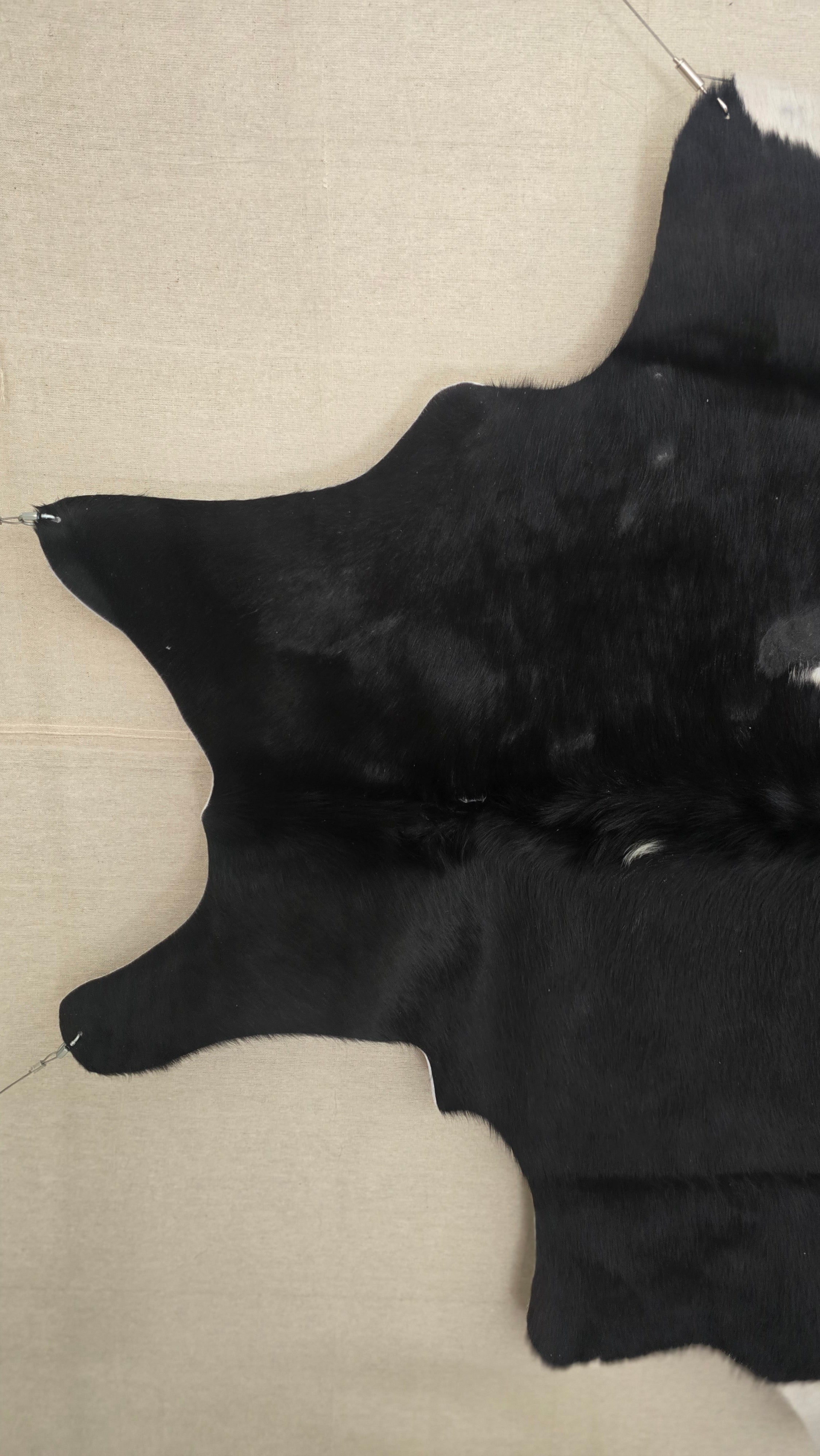 Unique Black and White Cowhide Handcrafted in Brazil