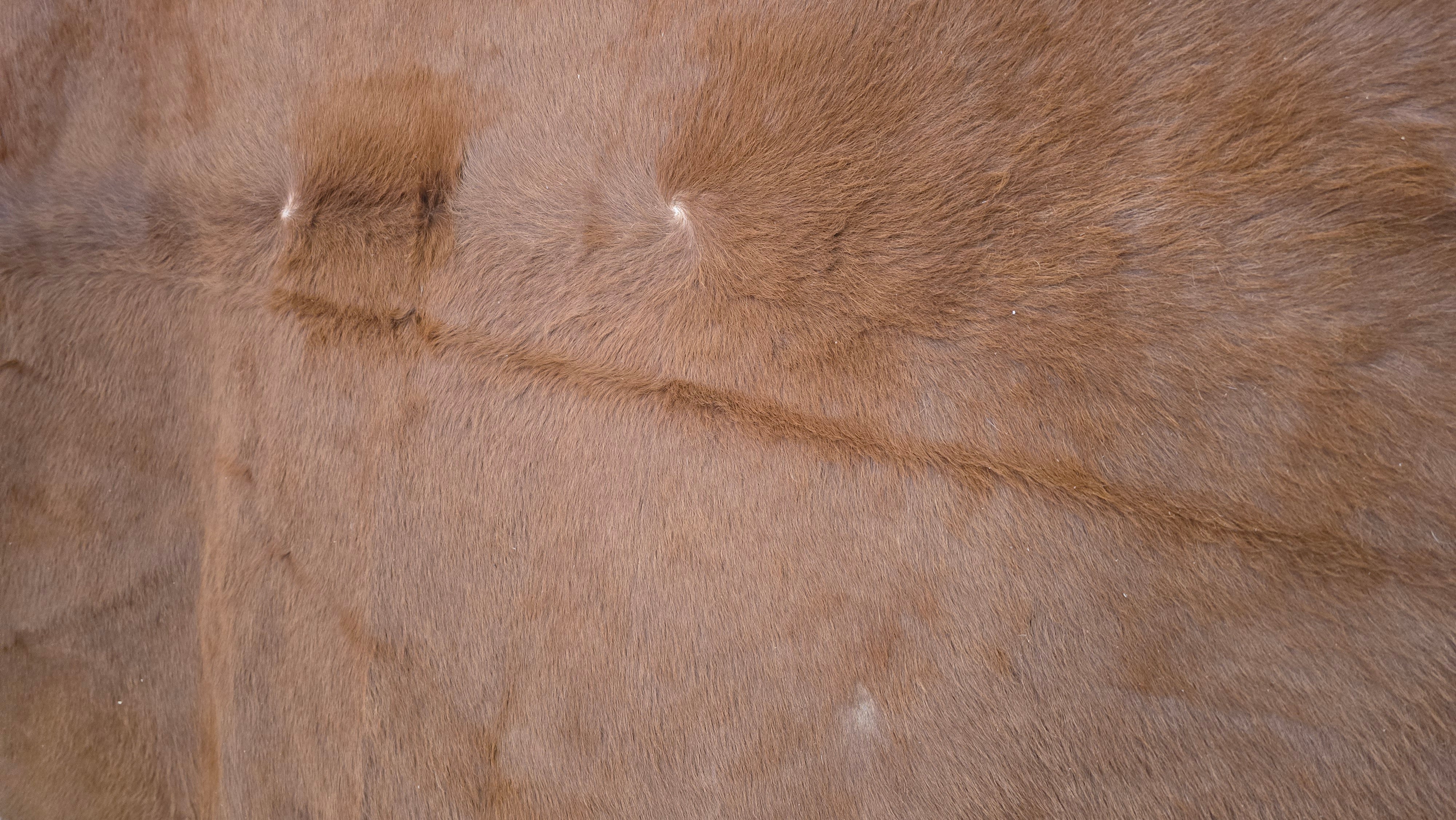 Reliable Brown Cowhide Handmade in Brazil