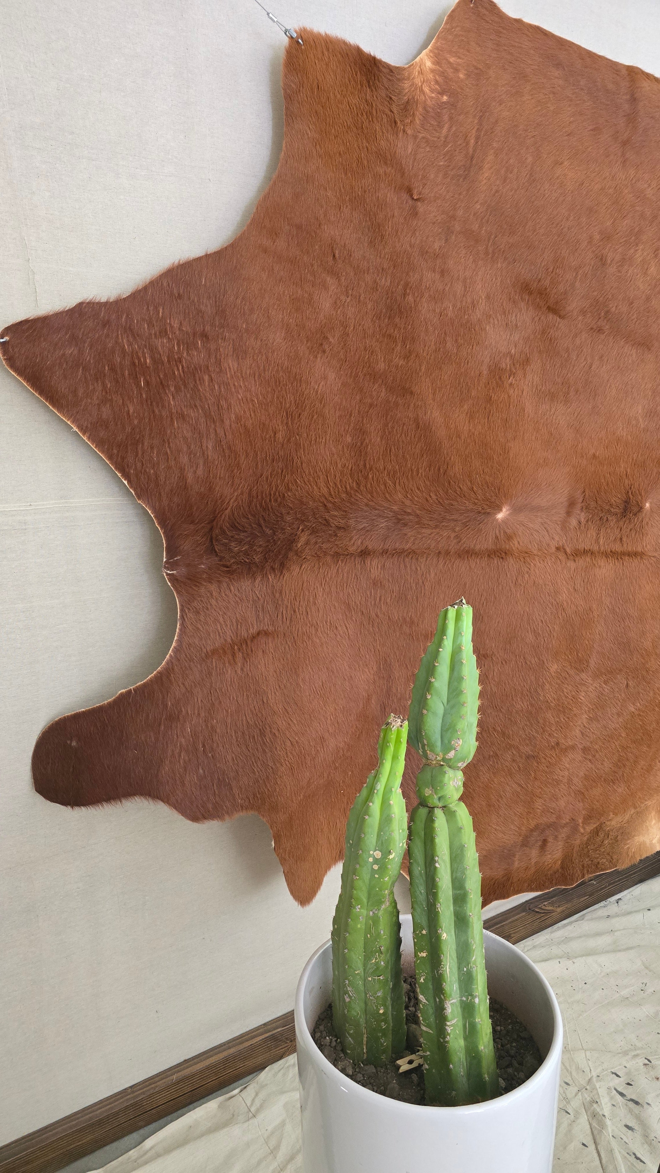 Reliable Brown Cowhide Handmade in Brazil