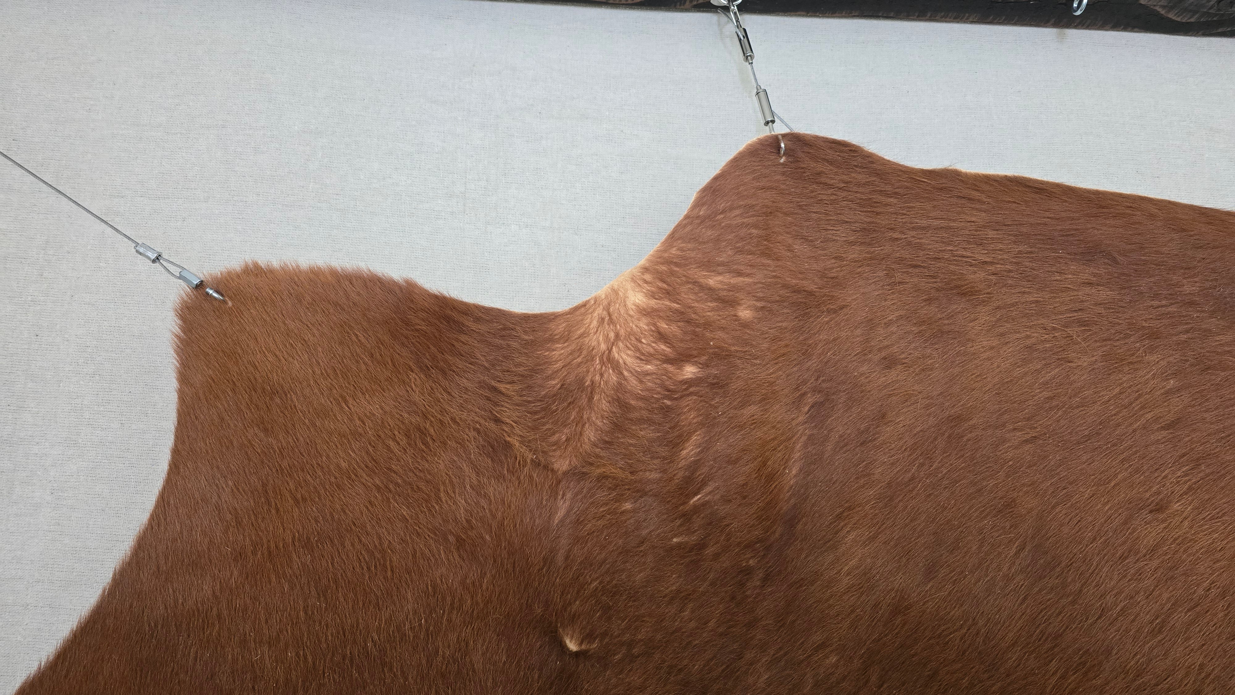 Reliable Brown Cowhide Handmade in Brazil