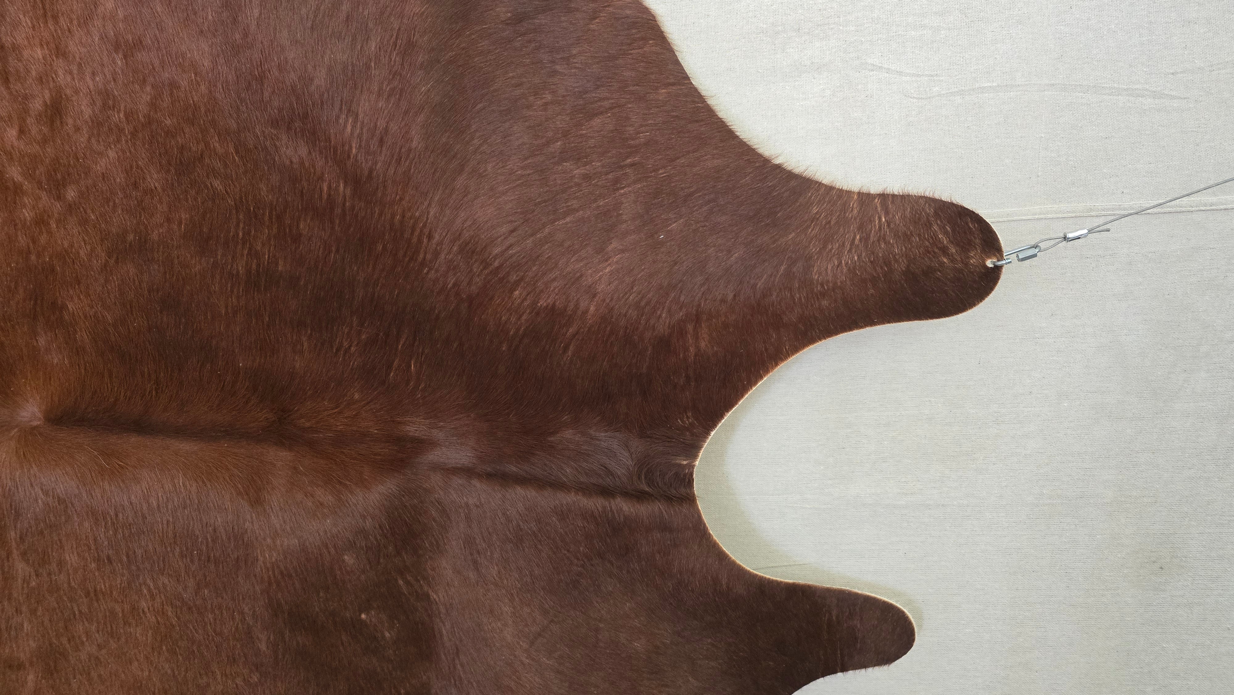 Sophisticated Rustic Brown Cowhide Handcrafted in Argentina