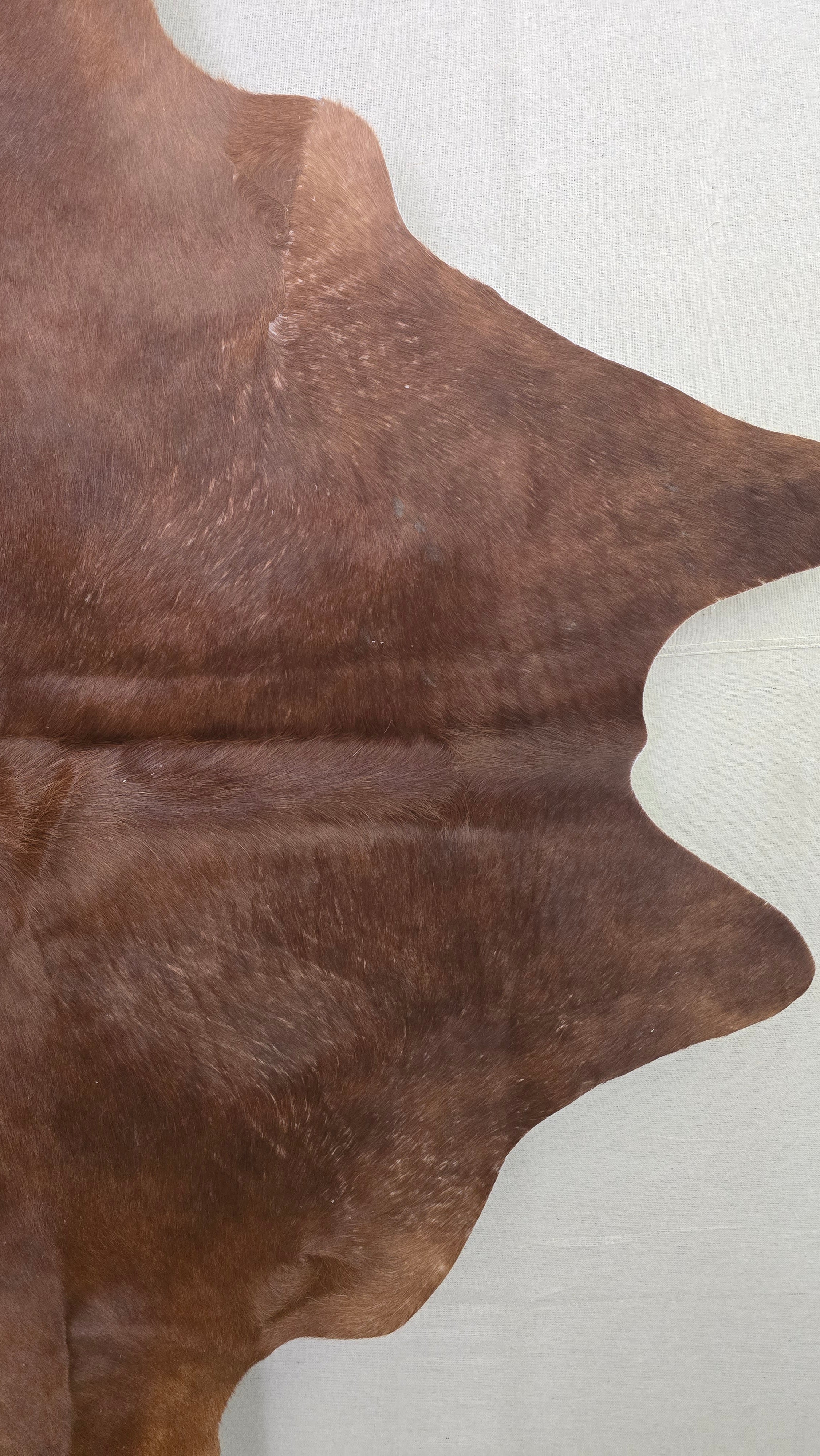 Fabulous Cinnamon Cowhide Handmade in Brazil