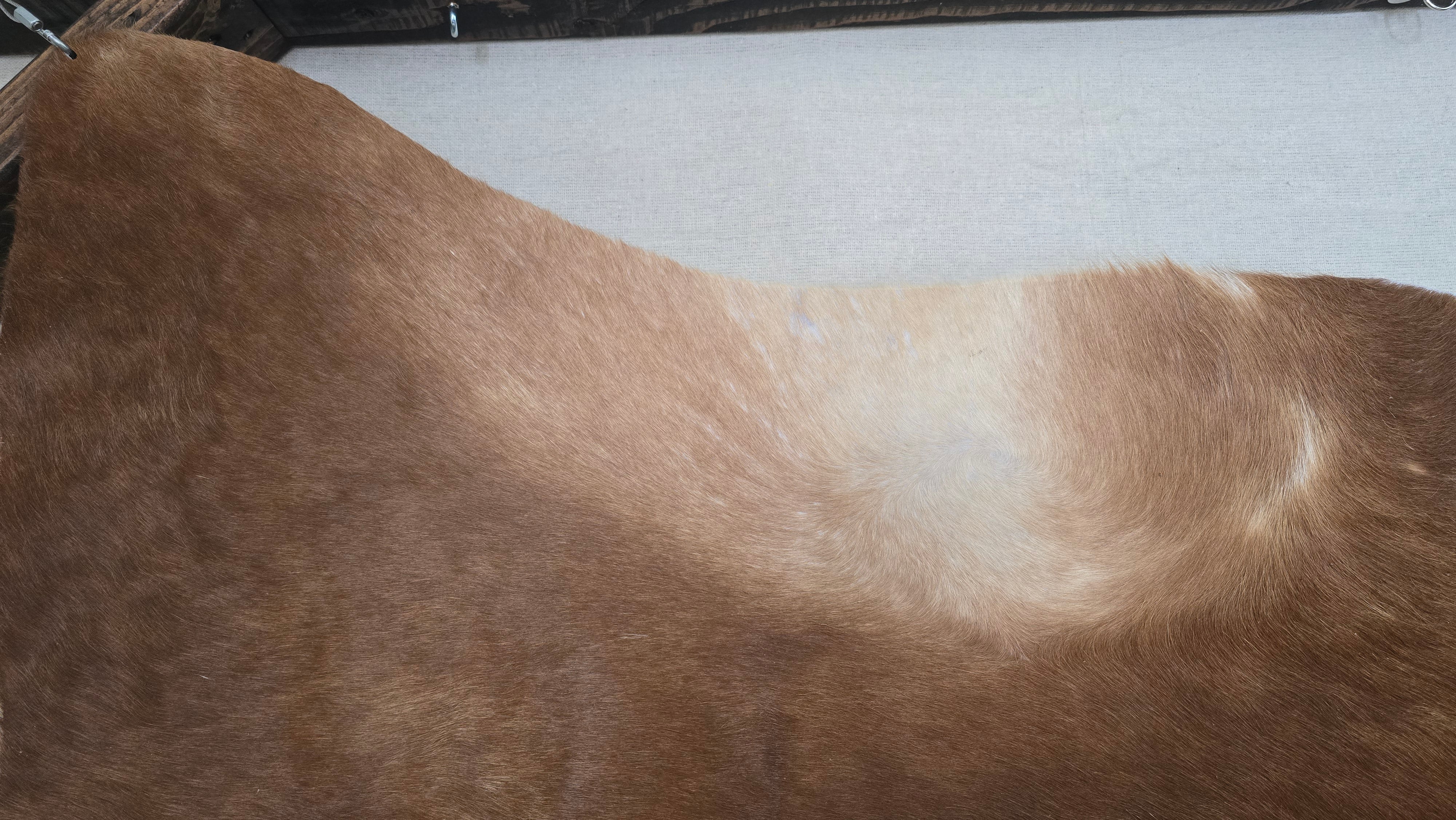 Fabulous Cinnamon Cowhide Handmade in Brazil