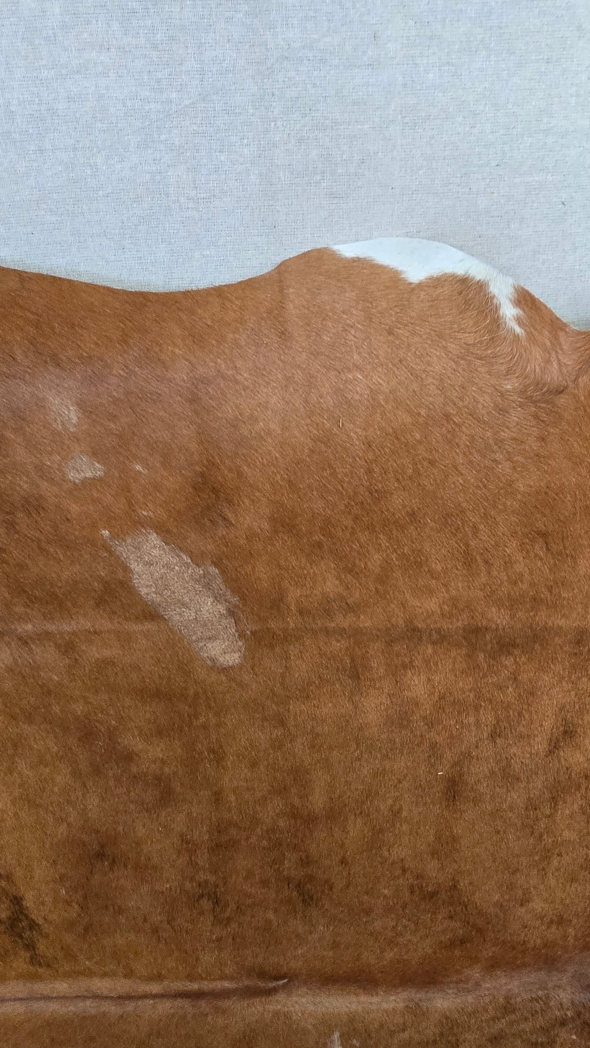 Natural Brown Cowhide Handcrafted in Brazil