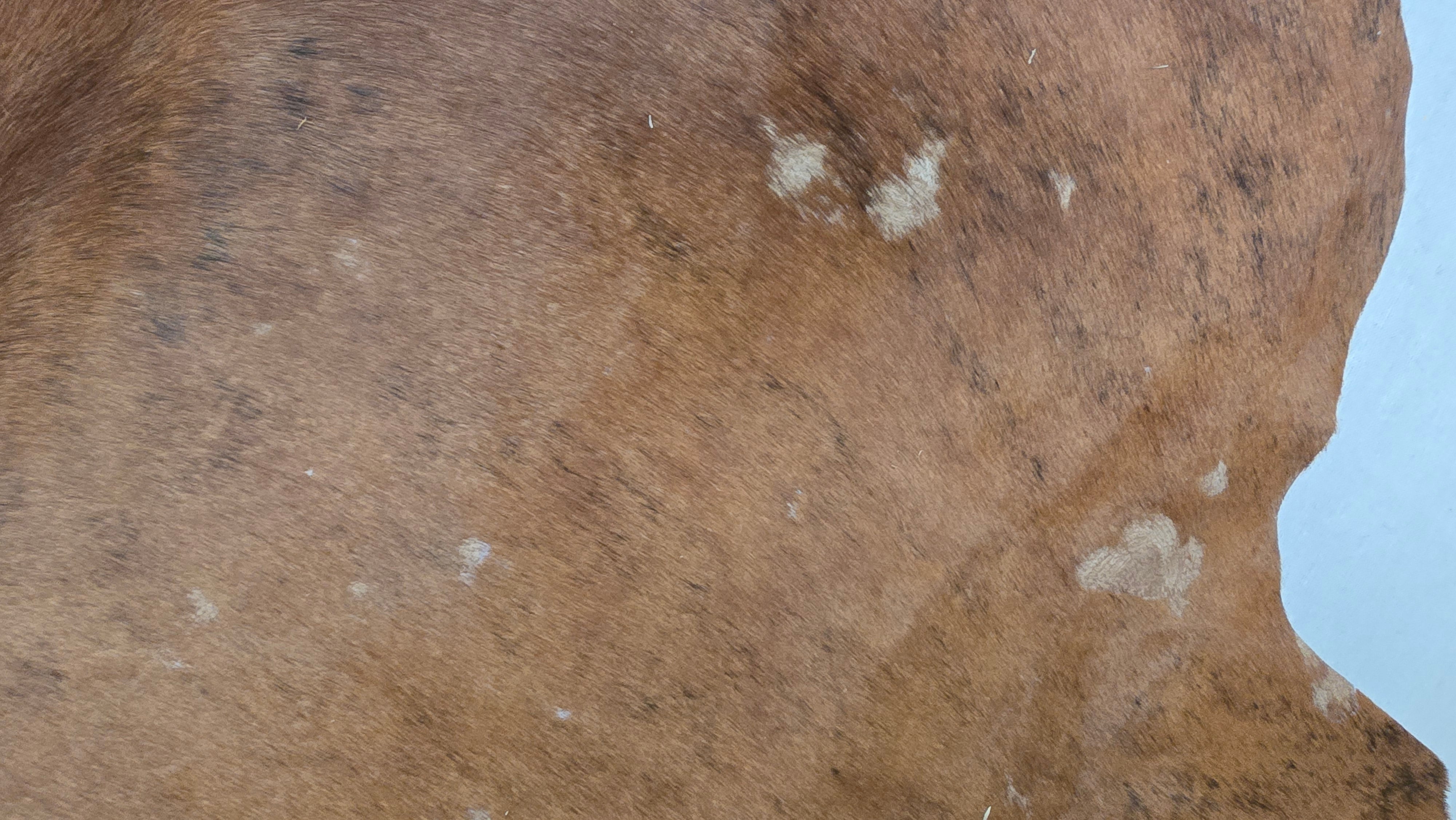 Natural Brown Cowhide Handcrafted in Brazil