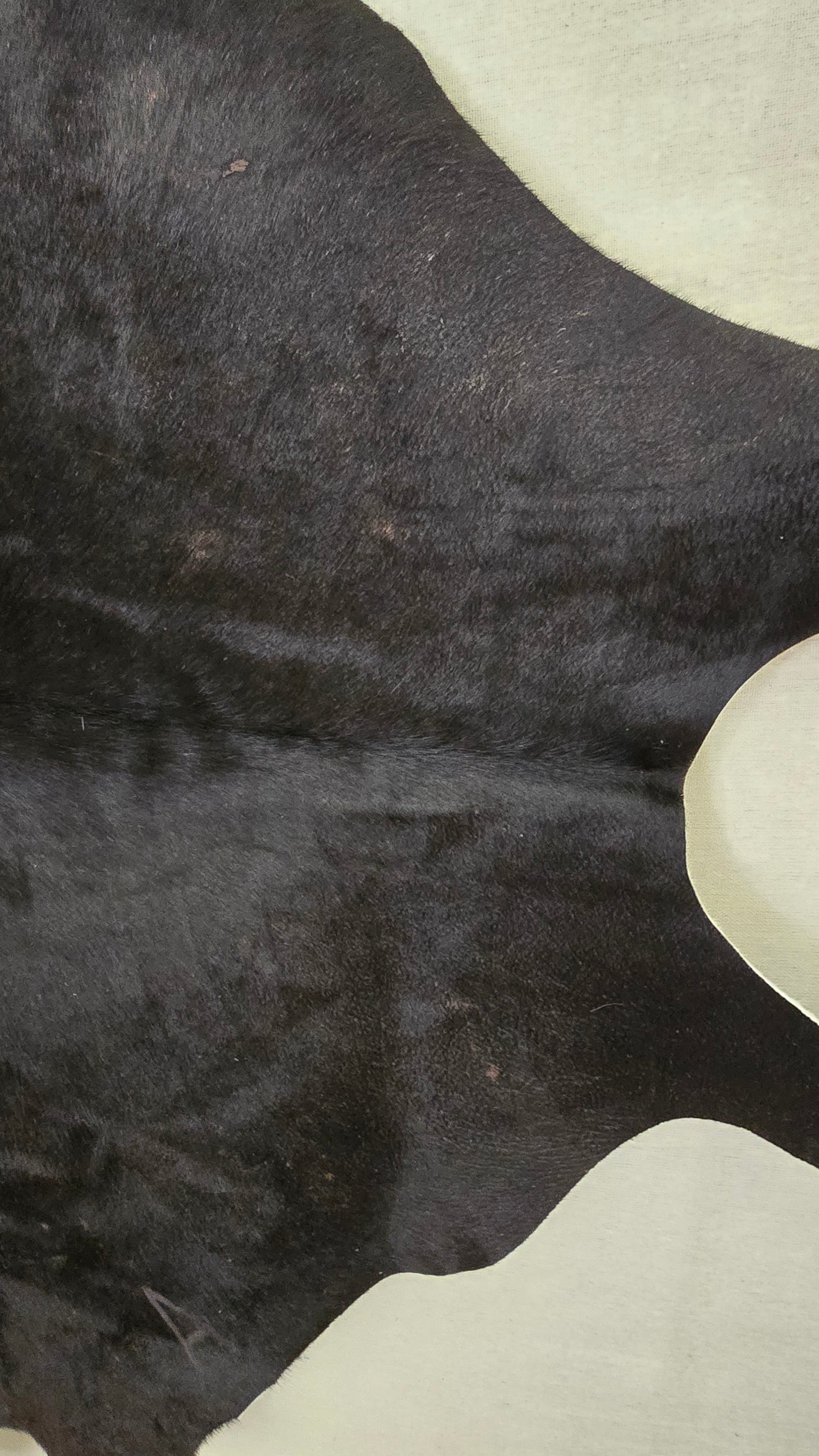 Eccentric Black Cowhide Handmade in Argentina