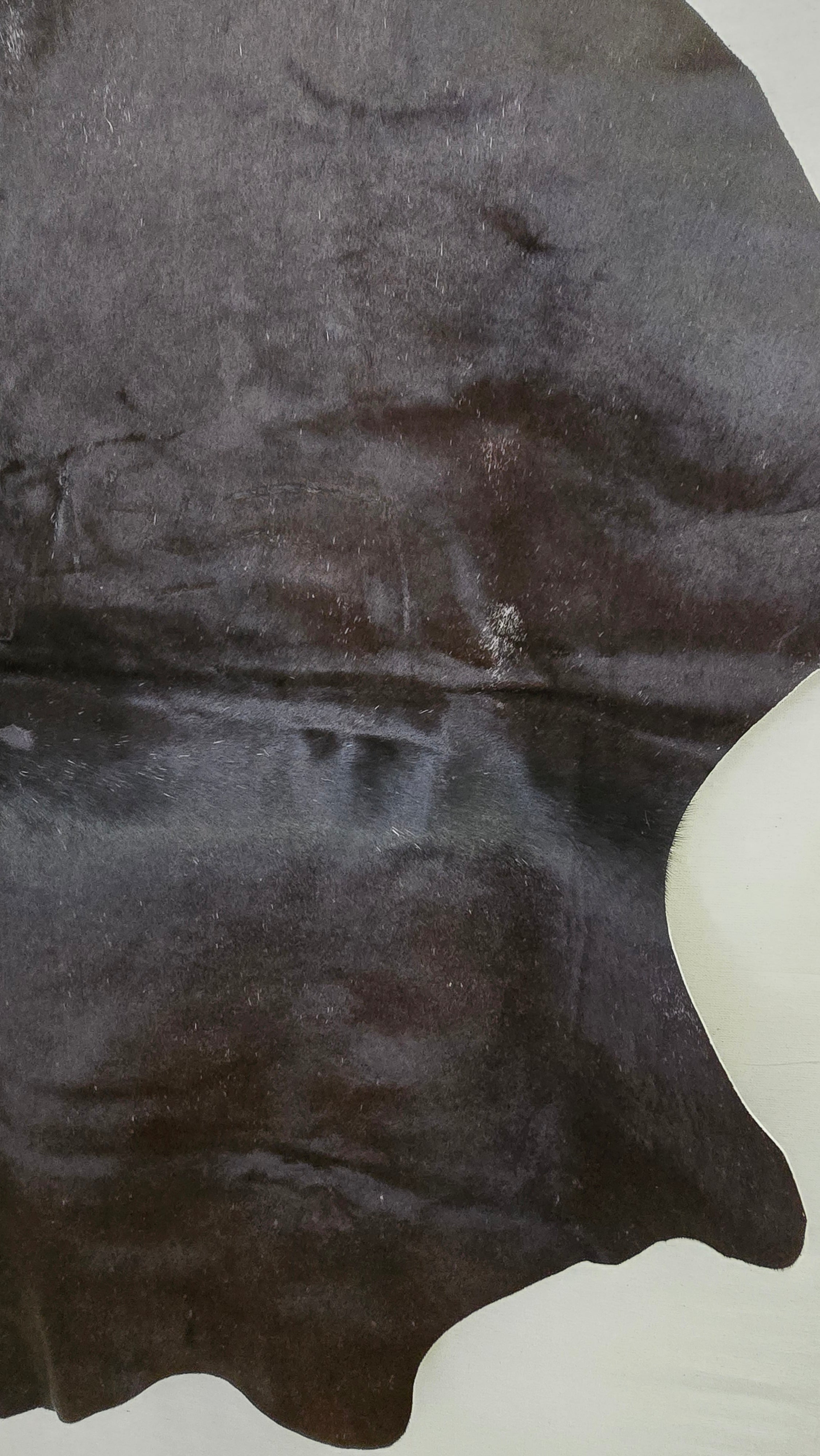 Radiant Black Cowhide Crafted by Artisans in Argentina