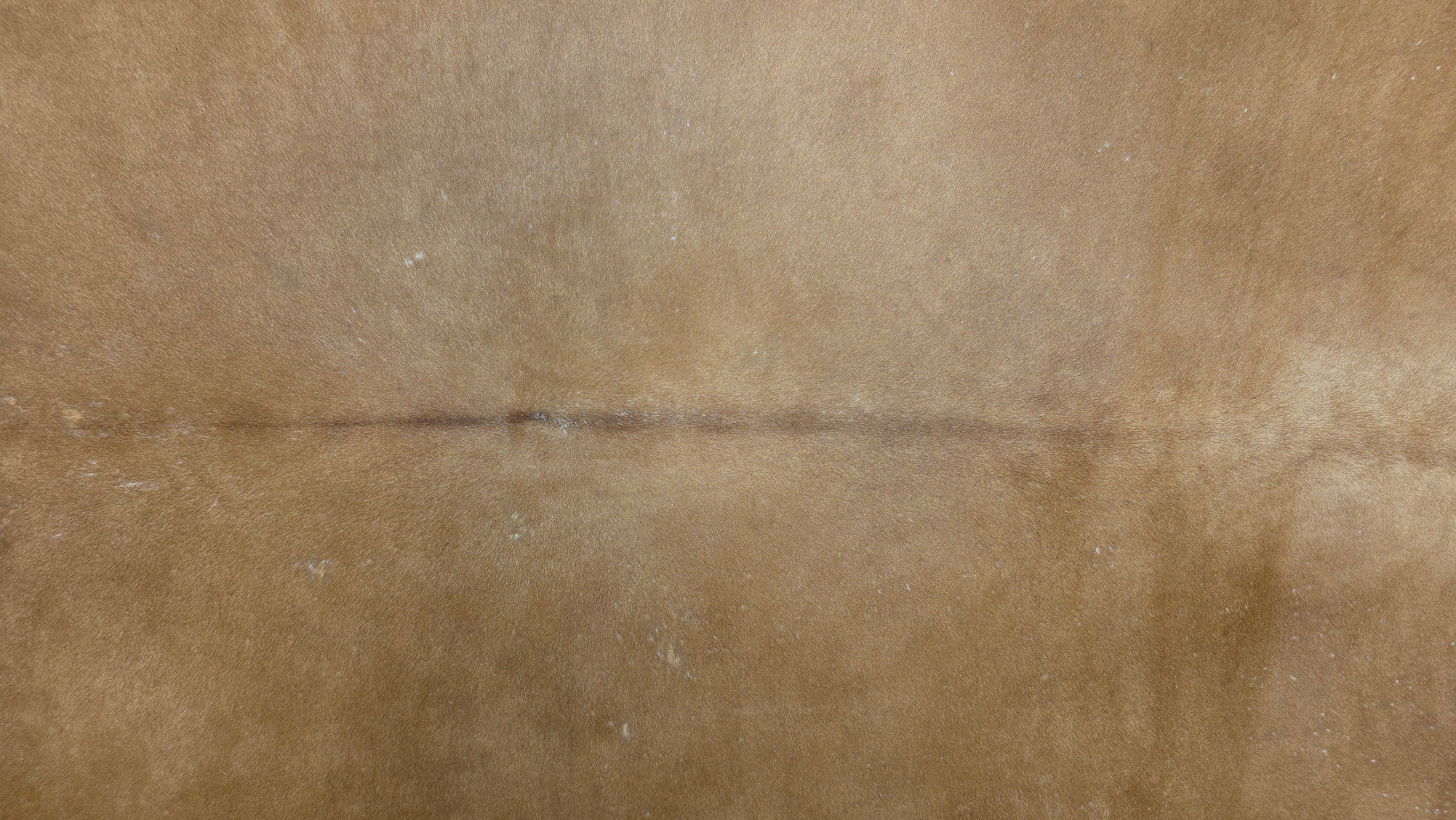 Stylish Light Brown Cowhide Handcrafted in Brazil