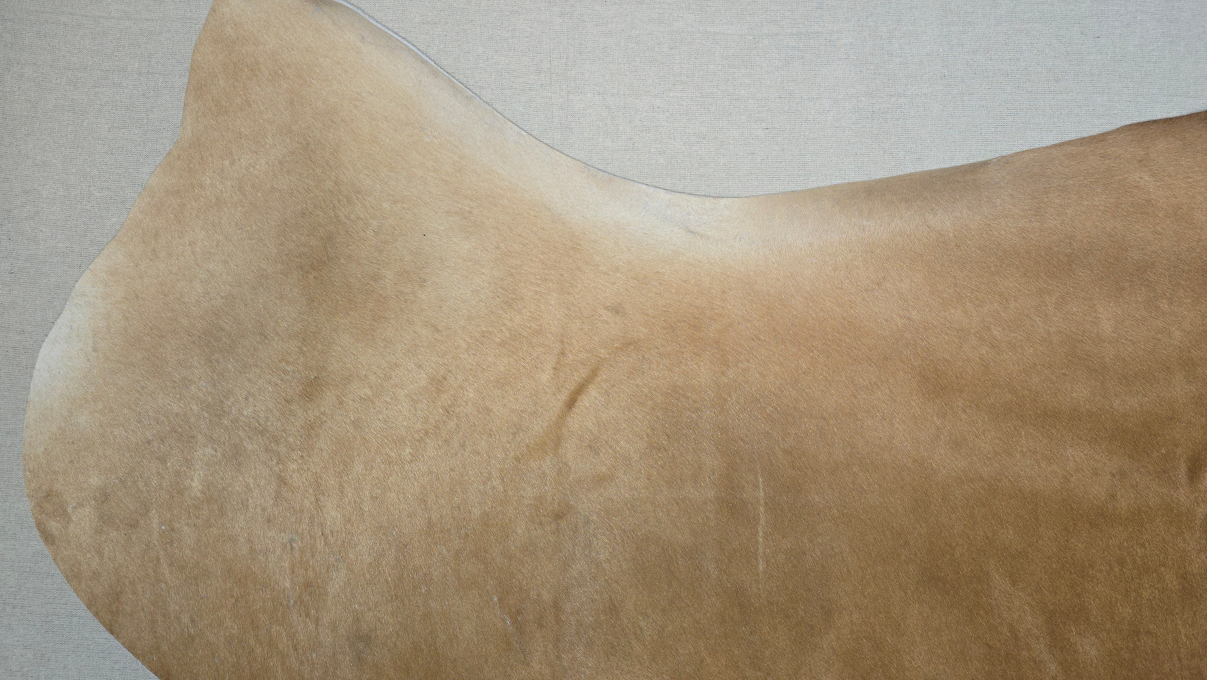 Stylish Light Brown Cowhide Handcrafted in Brazil