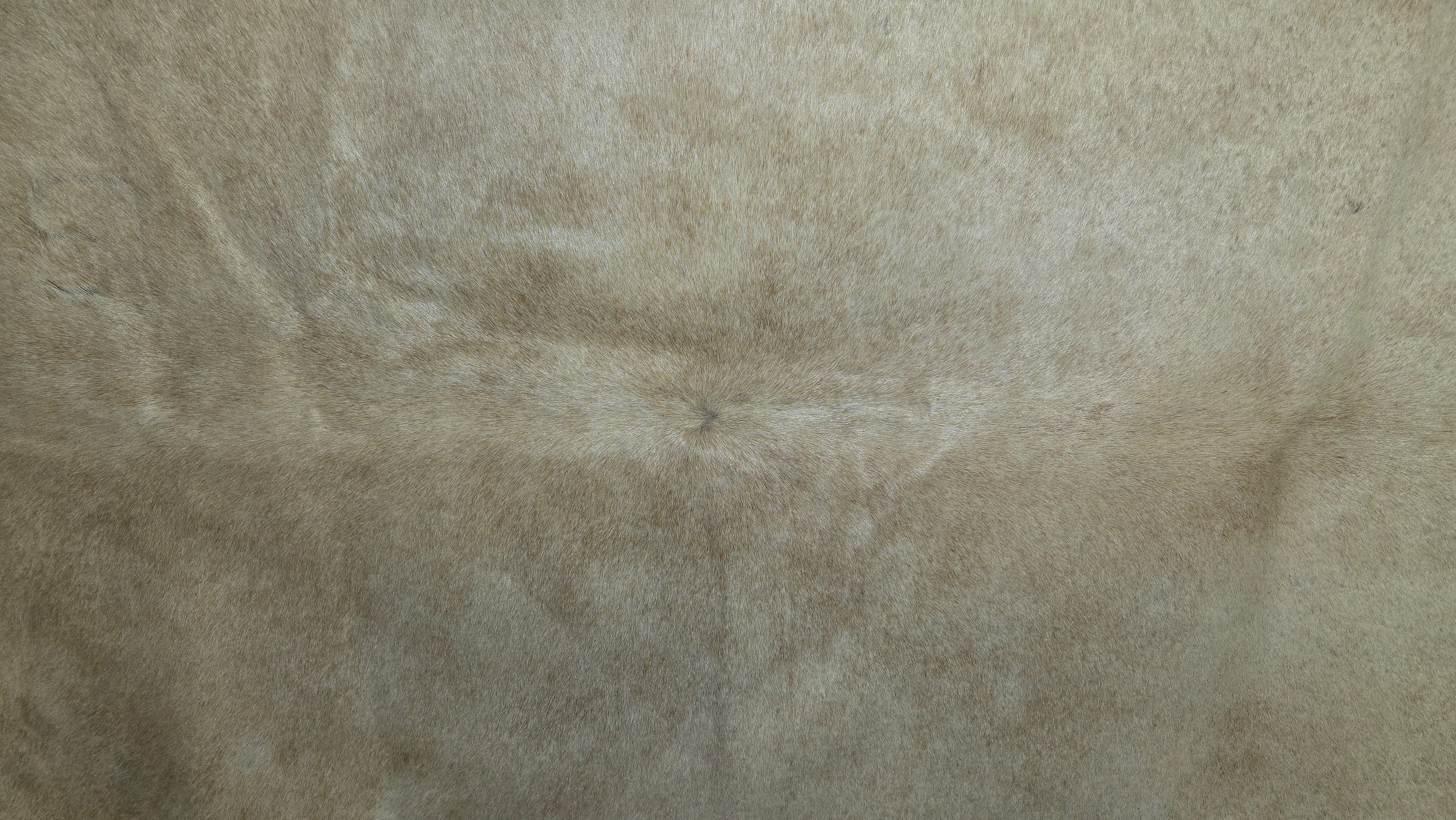 Stunning White Cowhide Handmade in Brazil