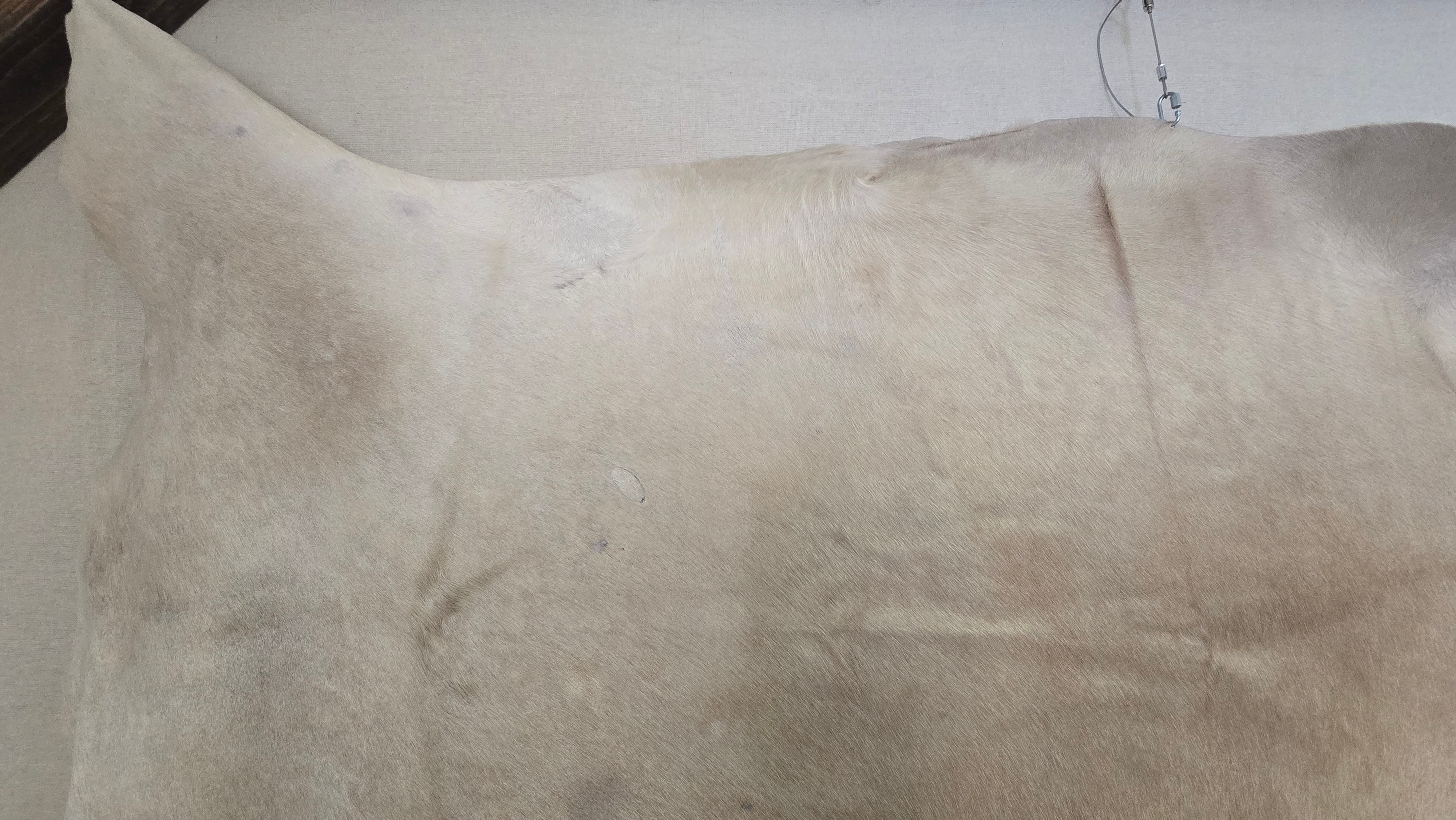 Luxurious White Cowhide Handmade in Brazil