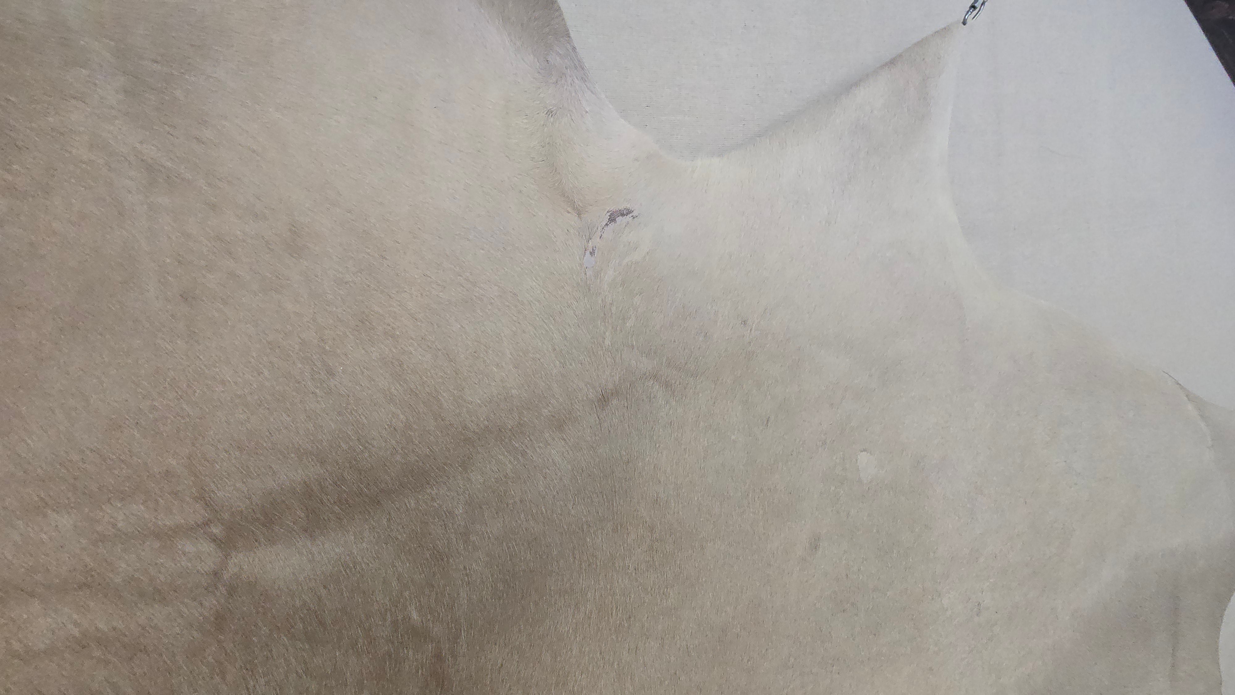 Luxurious White Cowhide Handmade in Brazil