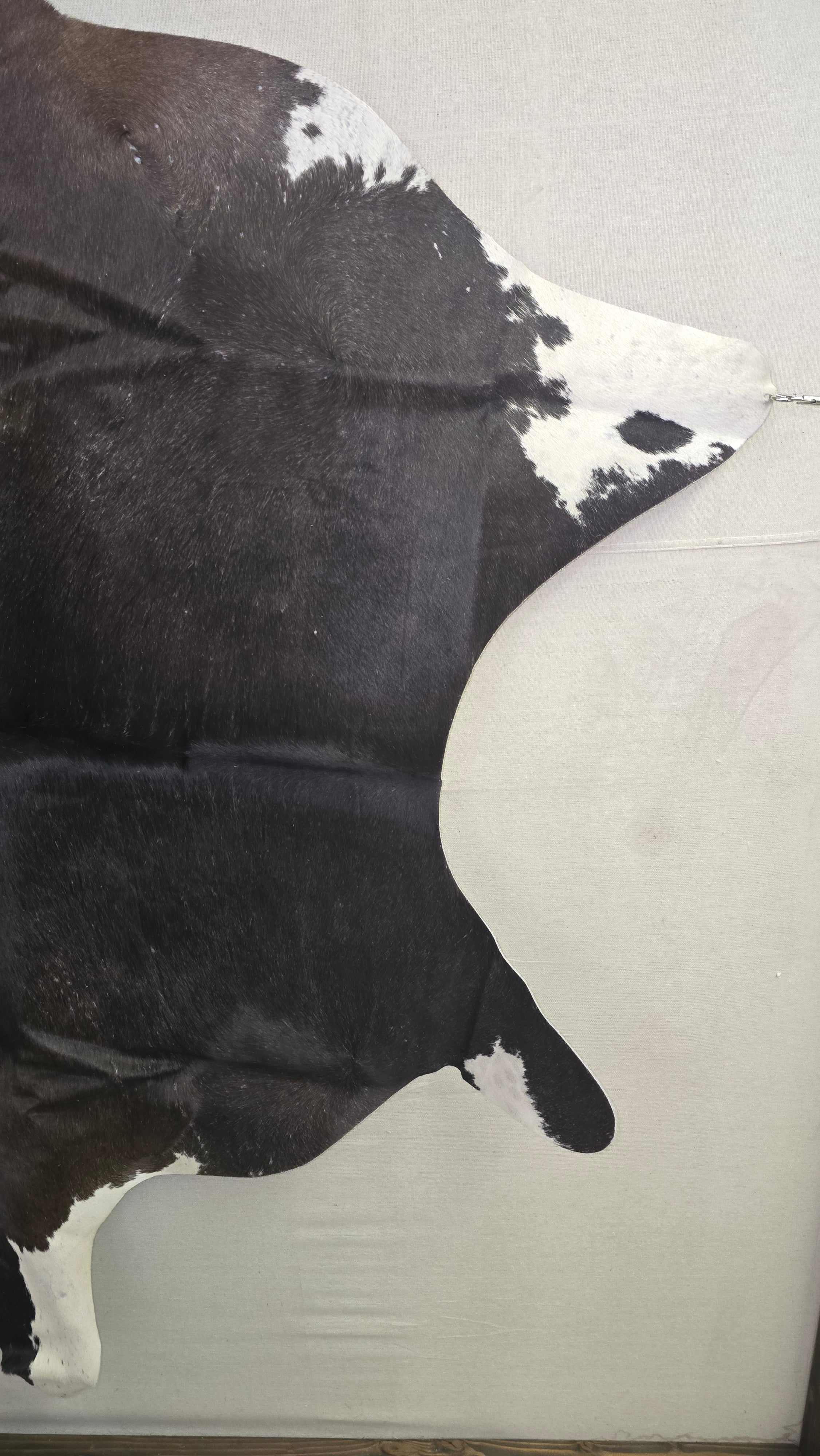 Distinctive Brown and White Cowhide Handcrafted in Brazil