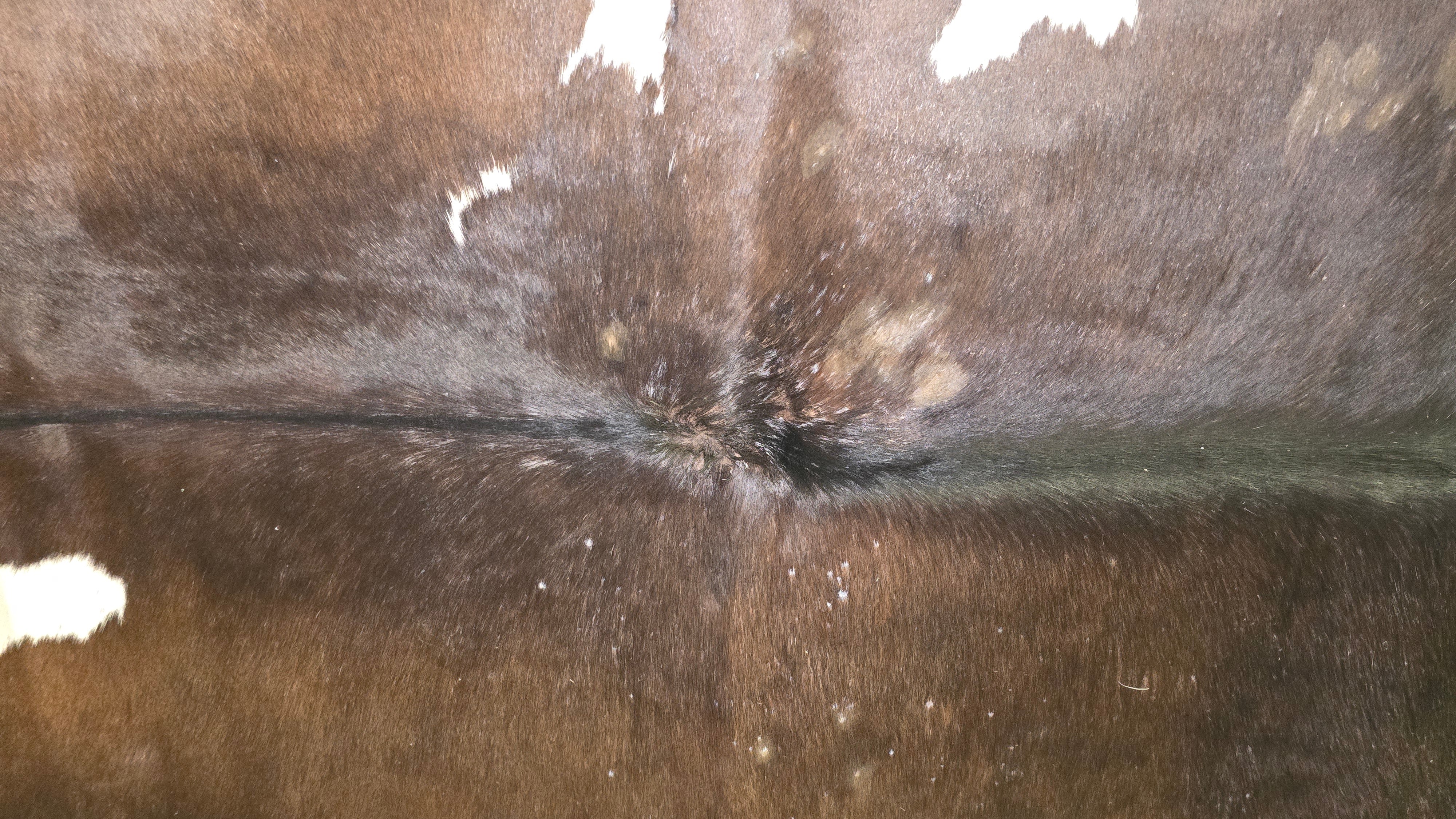 Distinctive Brown and White Cowhide Handcrafted in Brazil