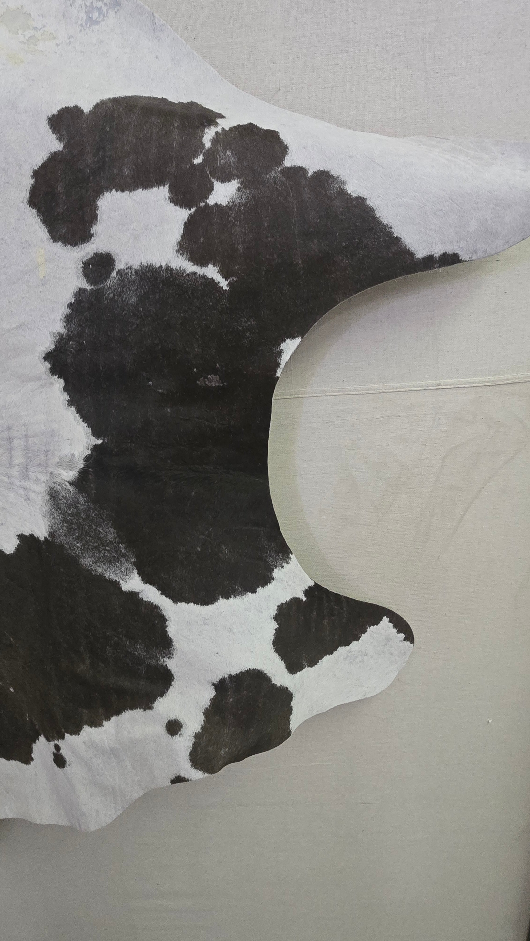 Remarkable Brown and White Cowhide Handmade in Brazil