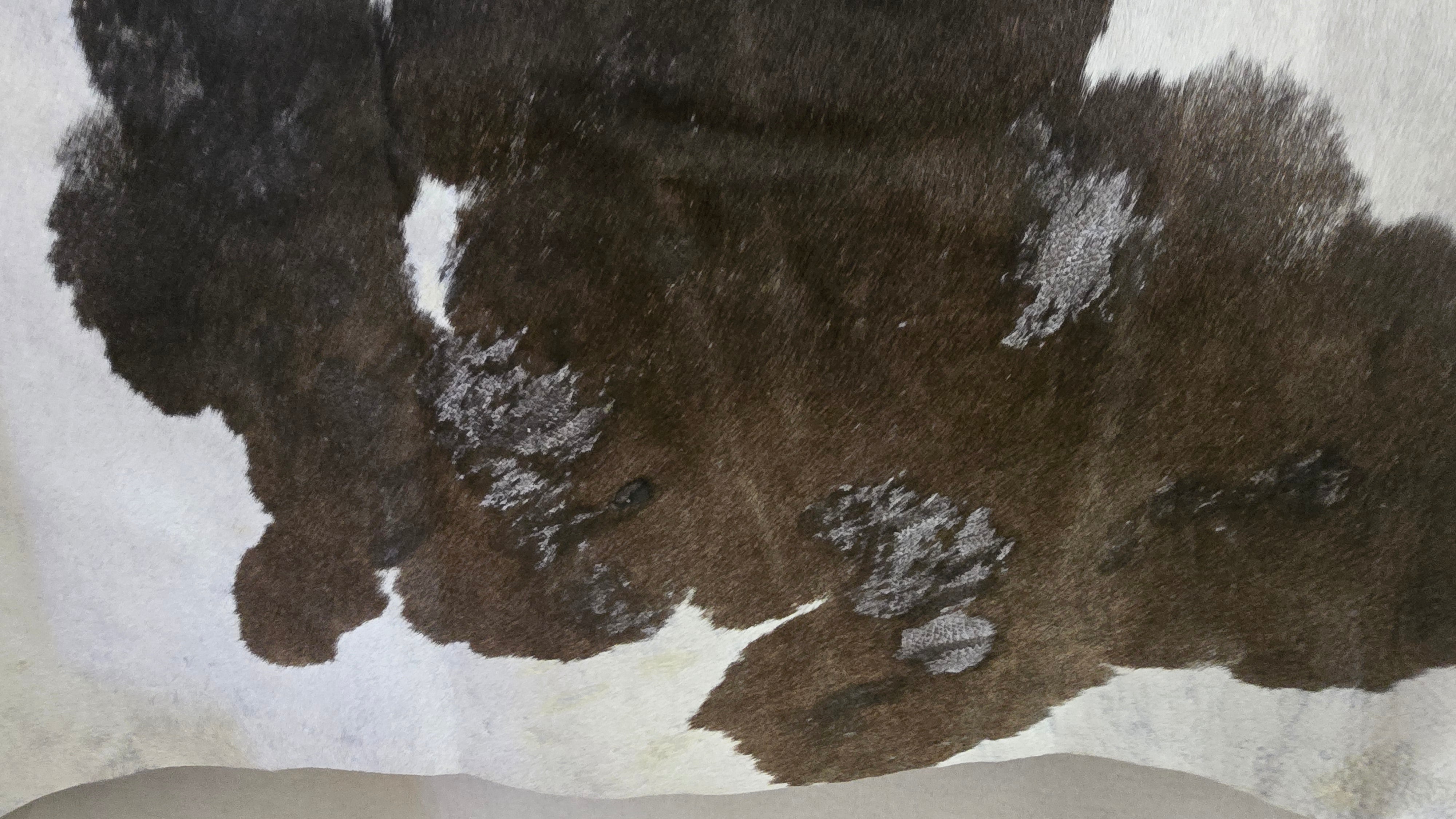 Remarkable Brown and White Cowhide Handmade in Brazil