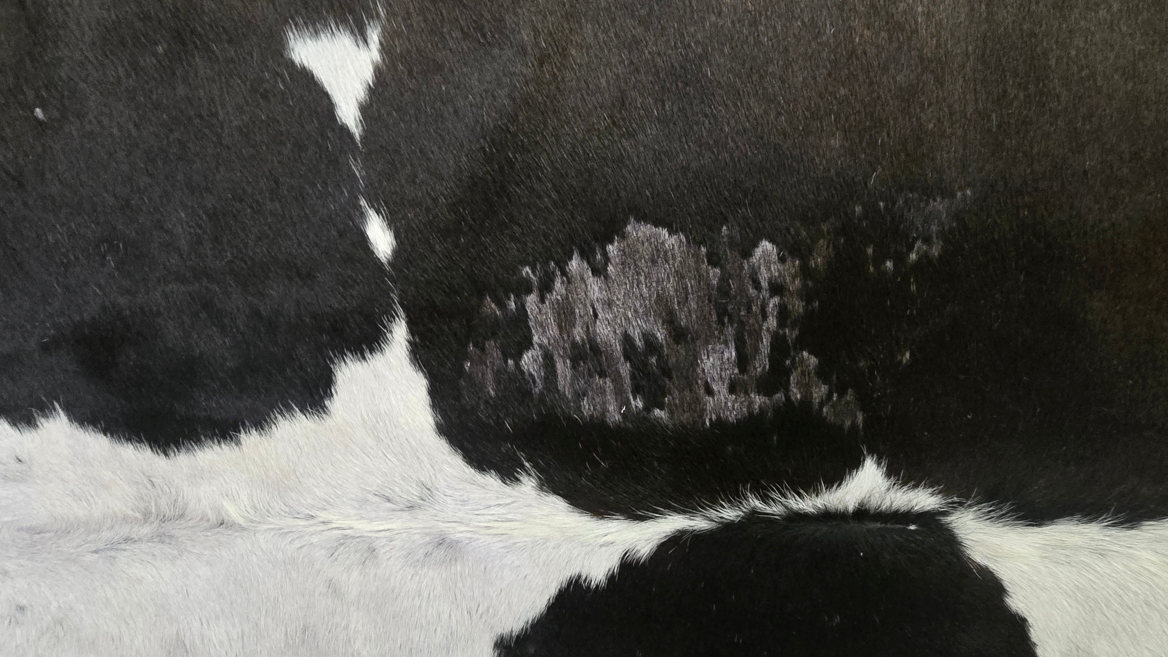 Remarkable Brown and White Cowhide Handmade in Brazil