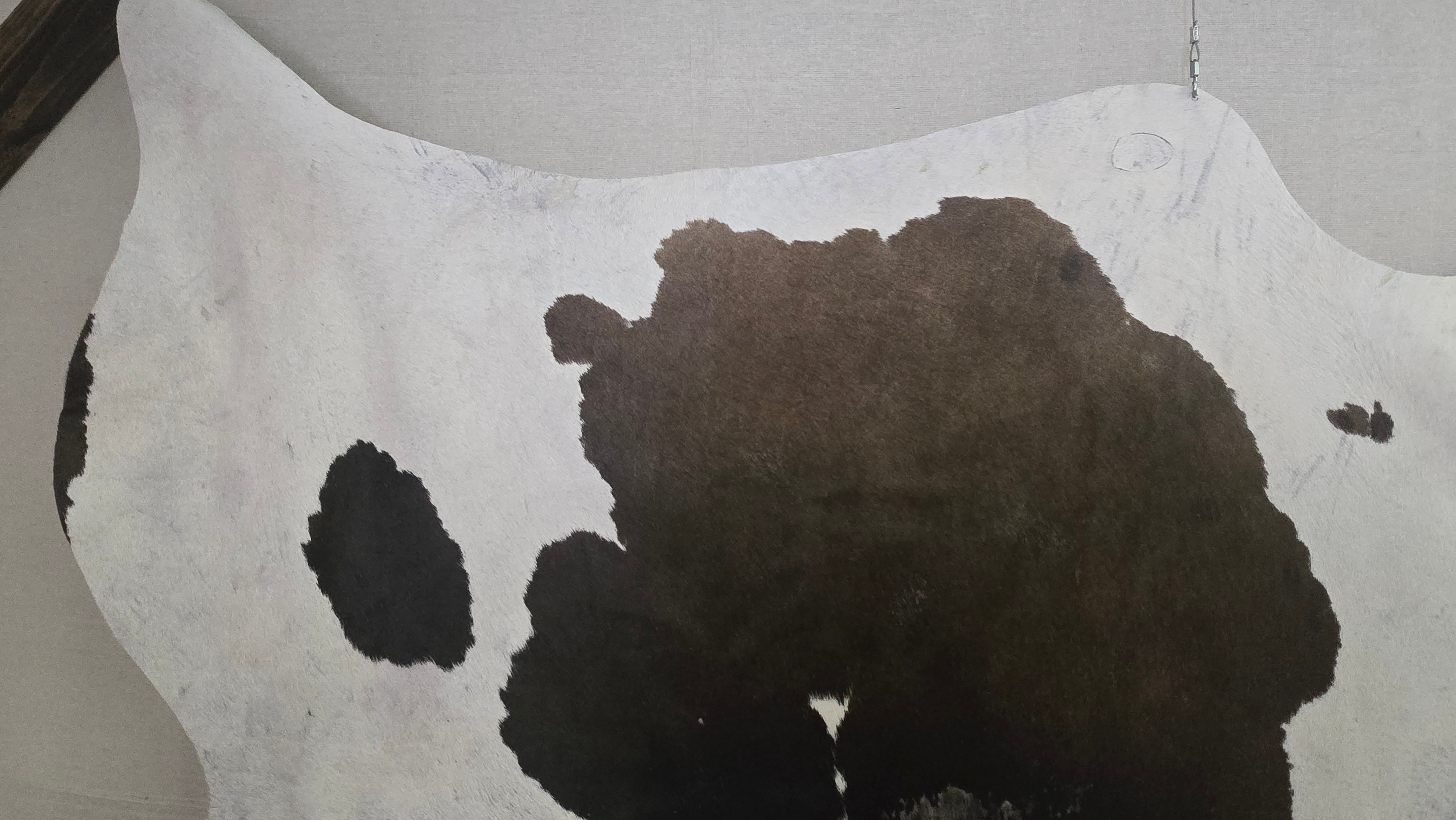 Remarkable Brown and White Cowhide Handmade in Brazil