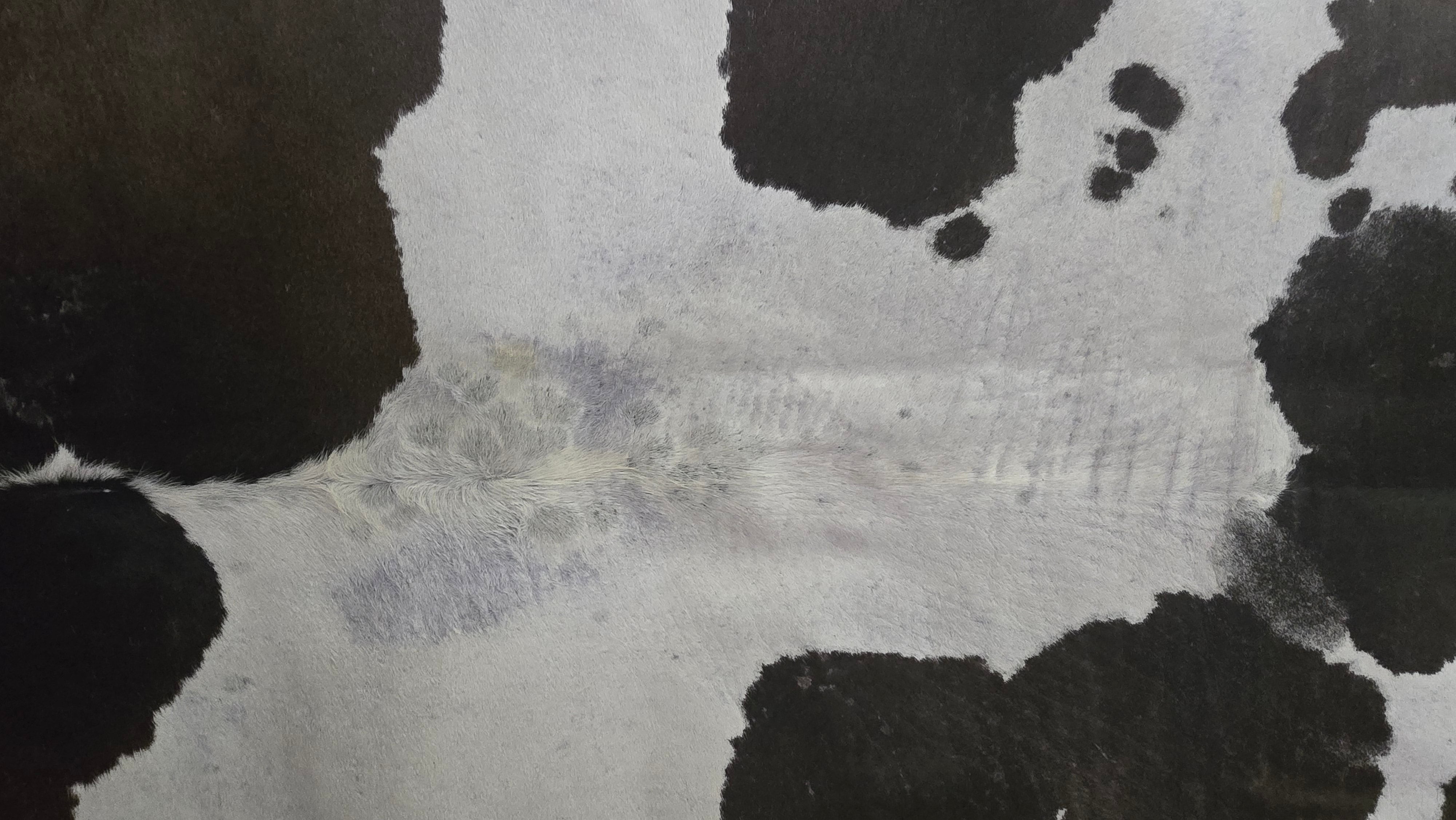 Remarkable Brown and White Cowhide Handmade in Brazil