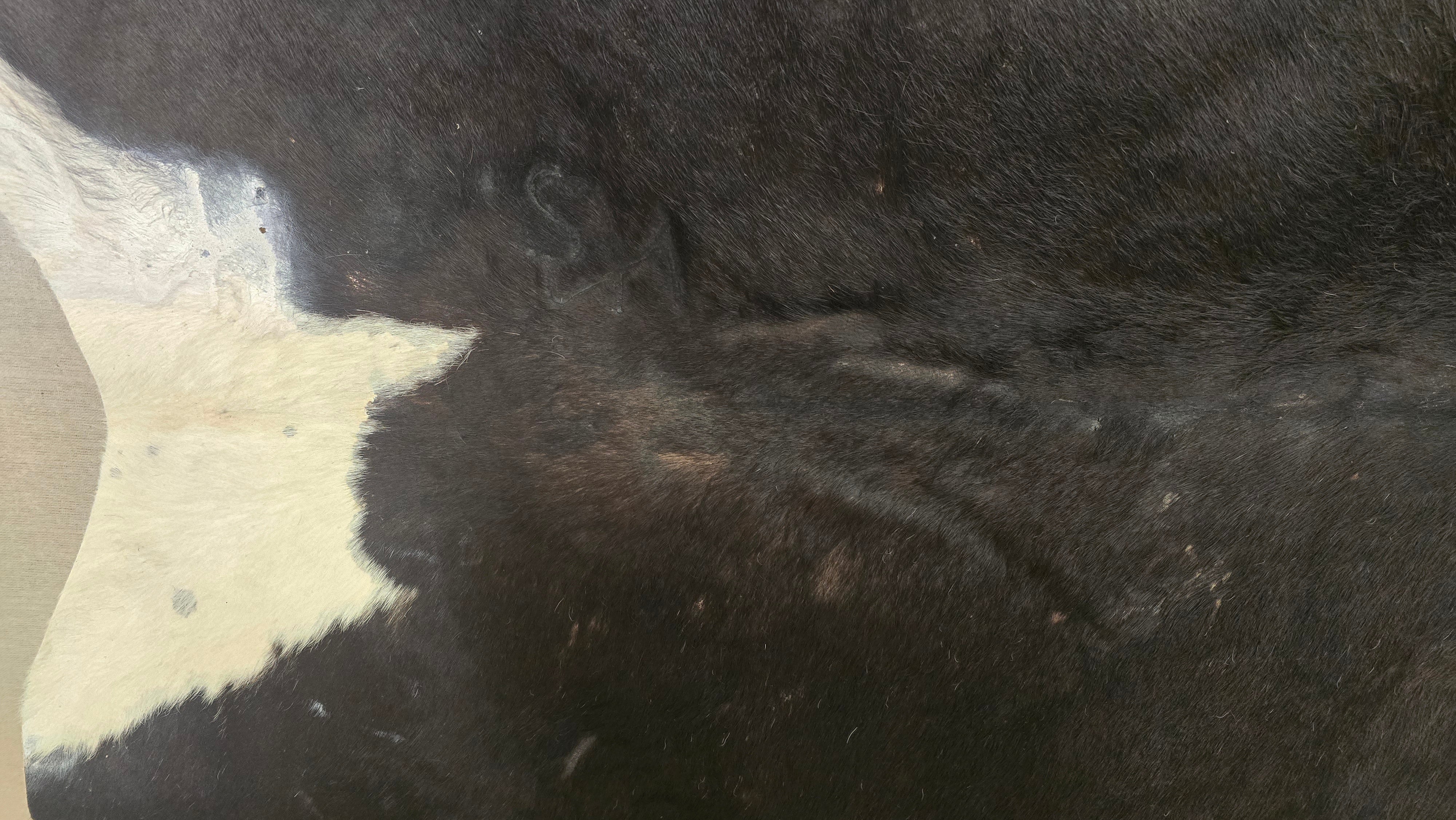 Eccentric Black and White Cowhide Rug Handcrafted in Argentina