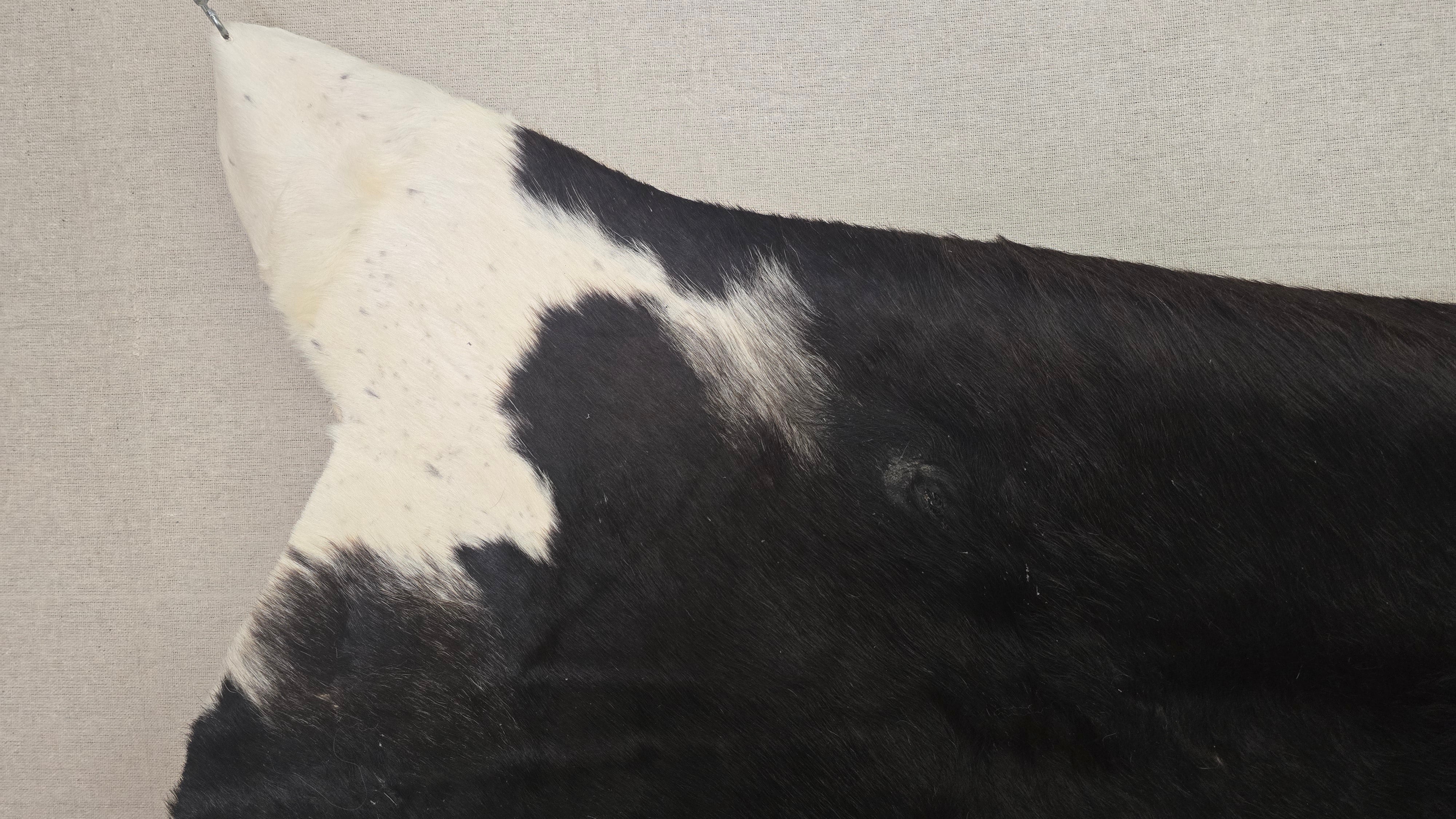 Eccentric Black and White Cowhide Rug Handcrafted in Argentina