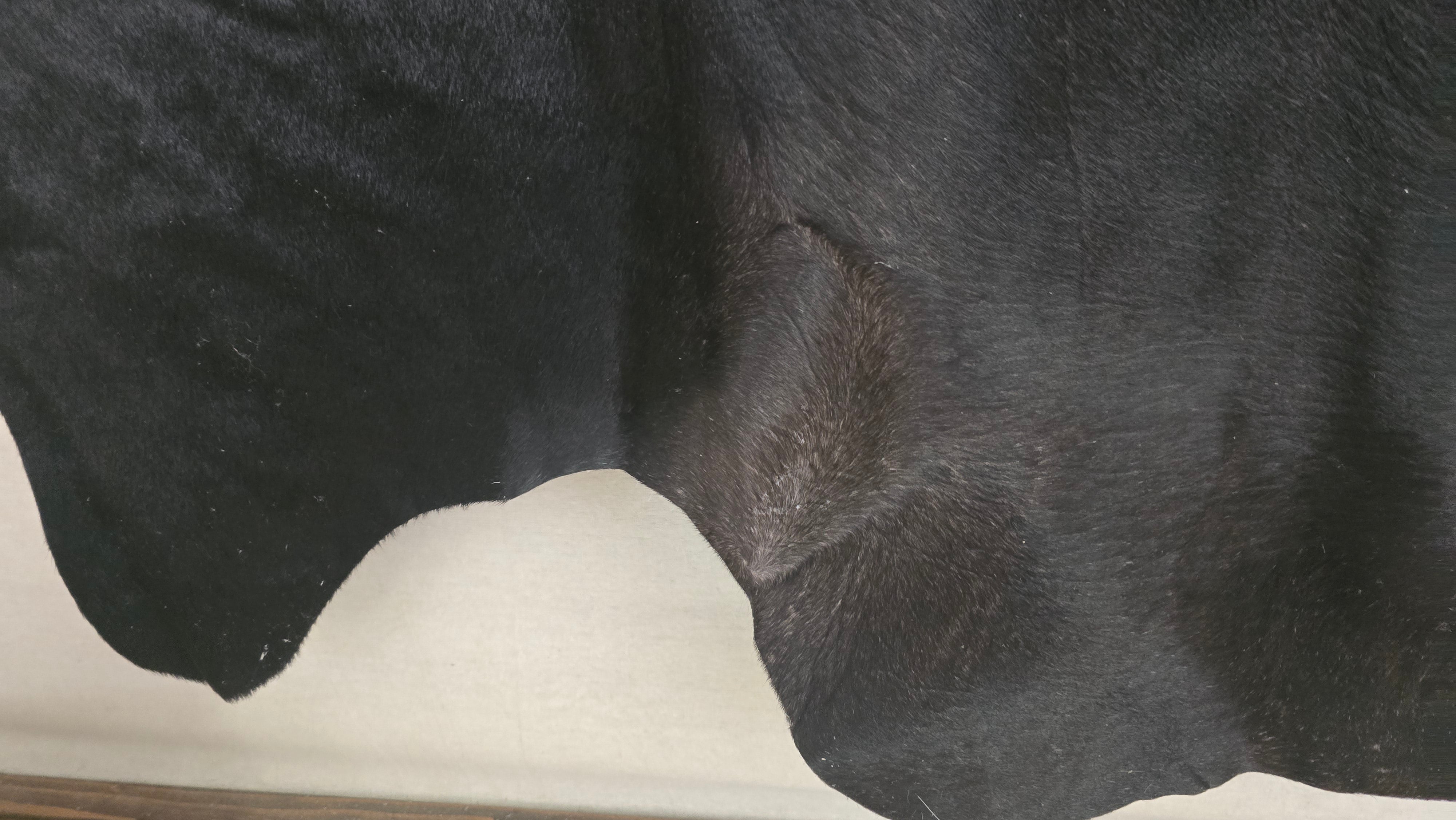 Elegant Black Cowhide Rug Handmade in Brazil