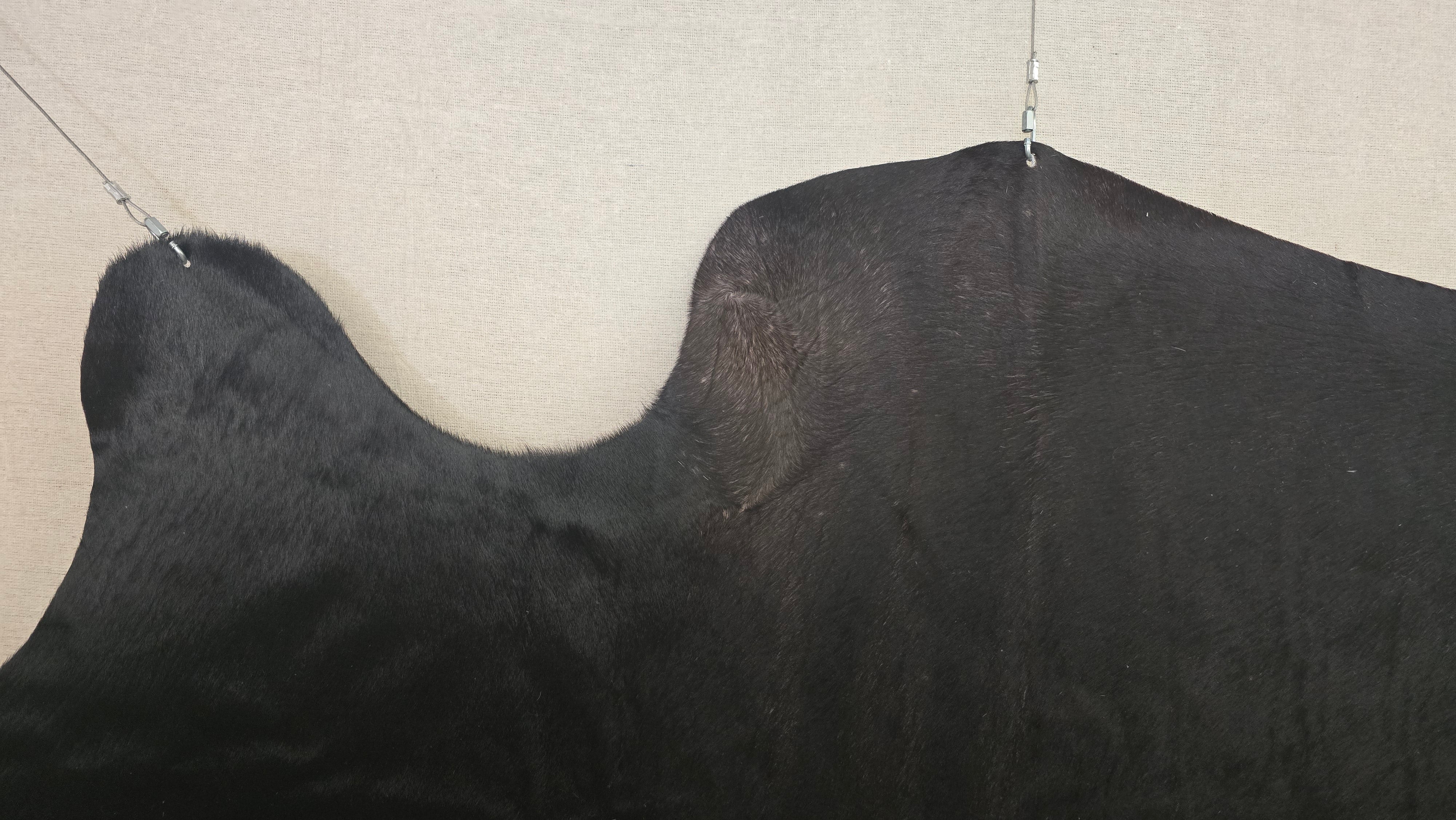 Elegant Black Cowhide Rug Handmade in Brazil