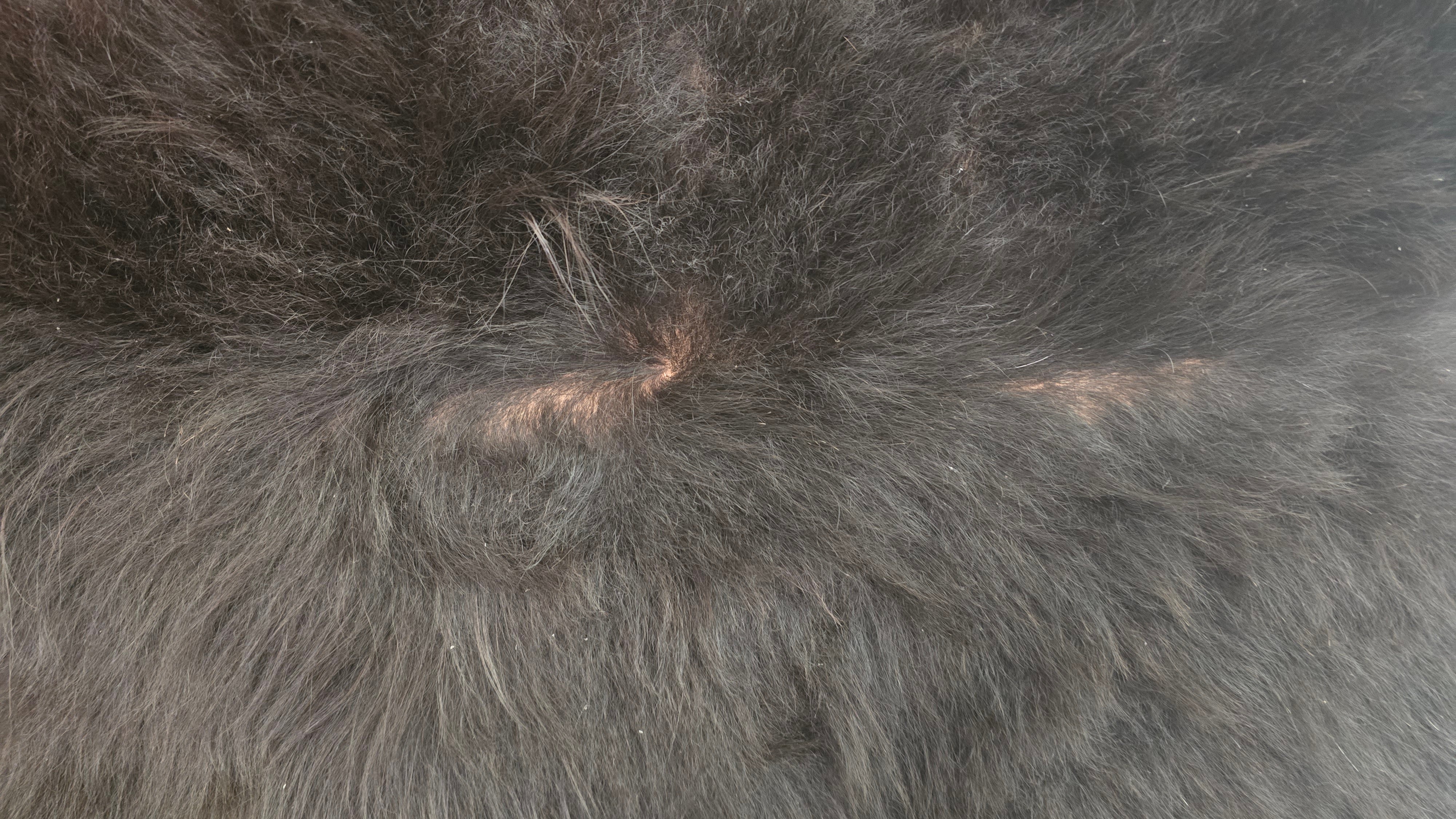 Sophisticated Black Cowhide Rug Handmade in Argentina