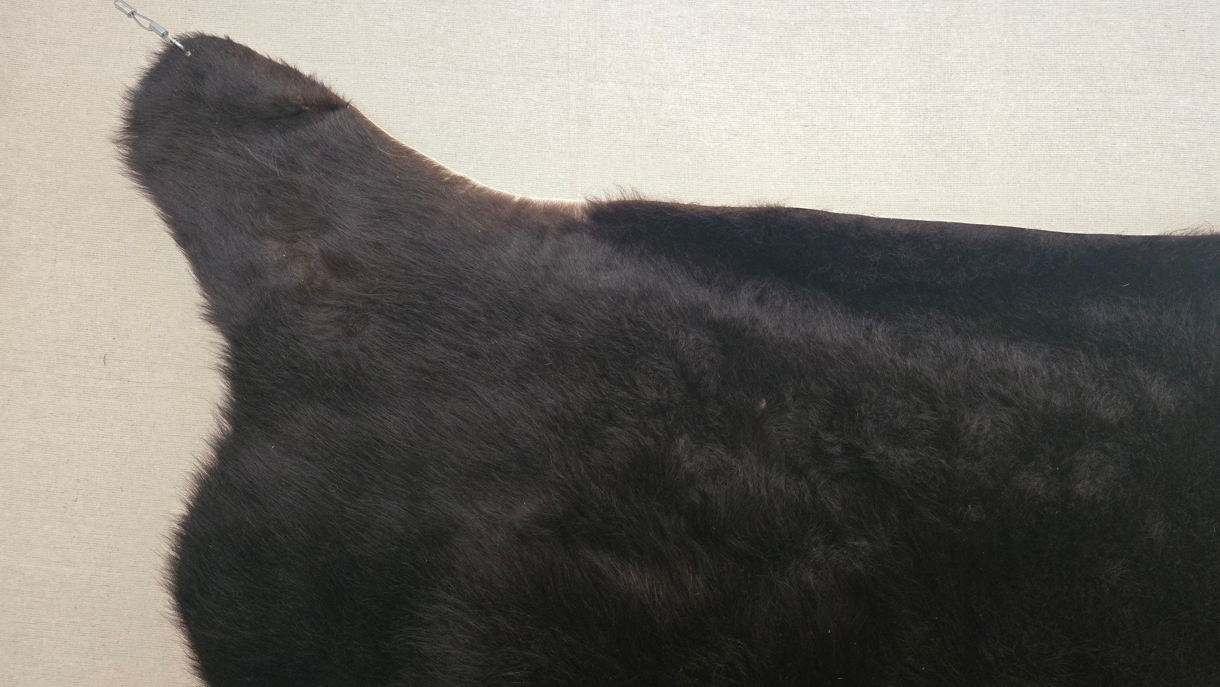 Sophisticated Black Cowhide Rug Handmade in Argentina