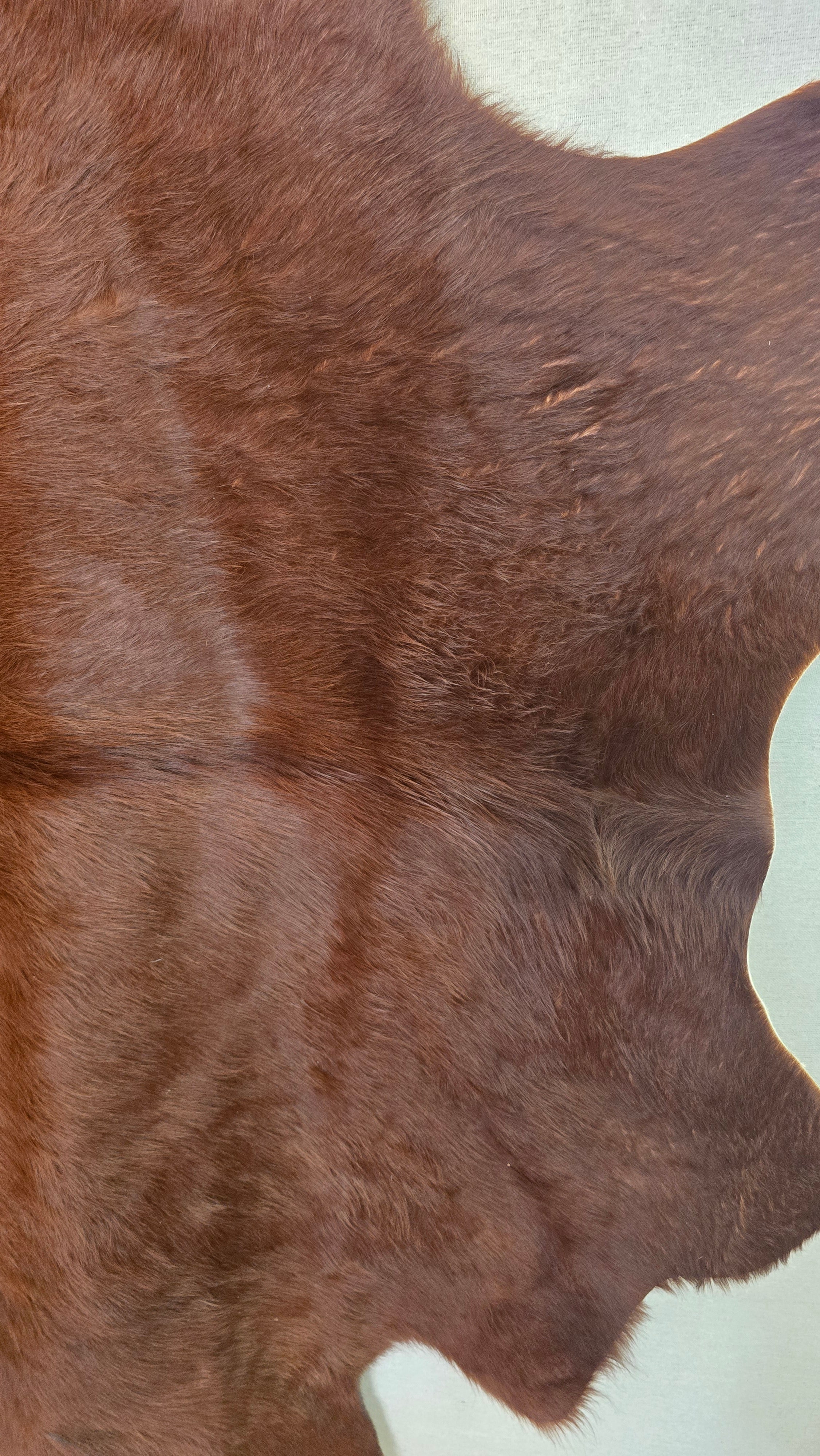 Natural Brown and White Cowhide Made in Brazil