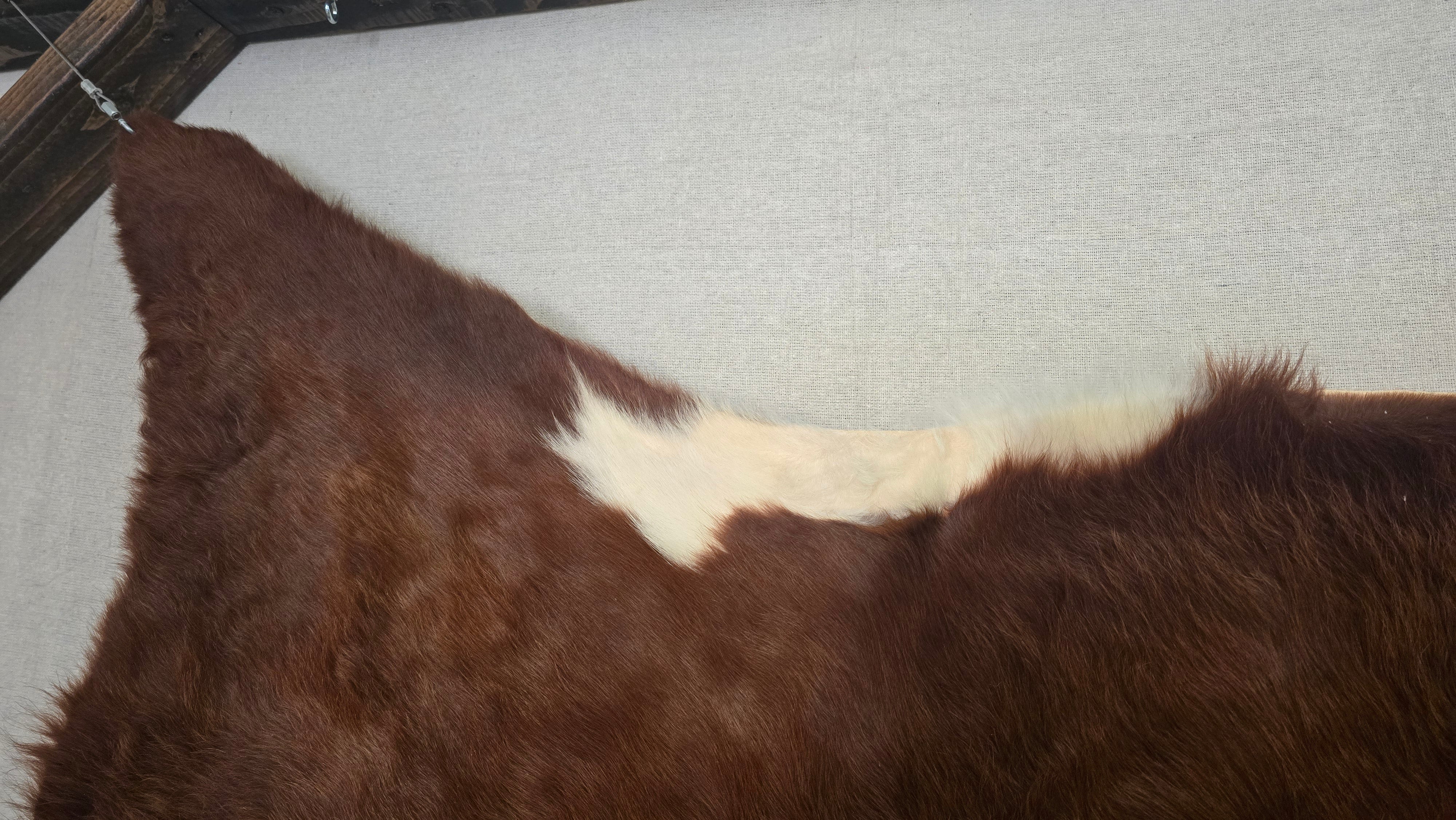 Natural Brown and White Cowhide Made in Brazil