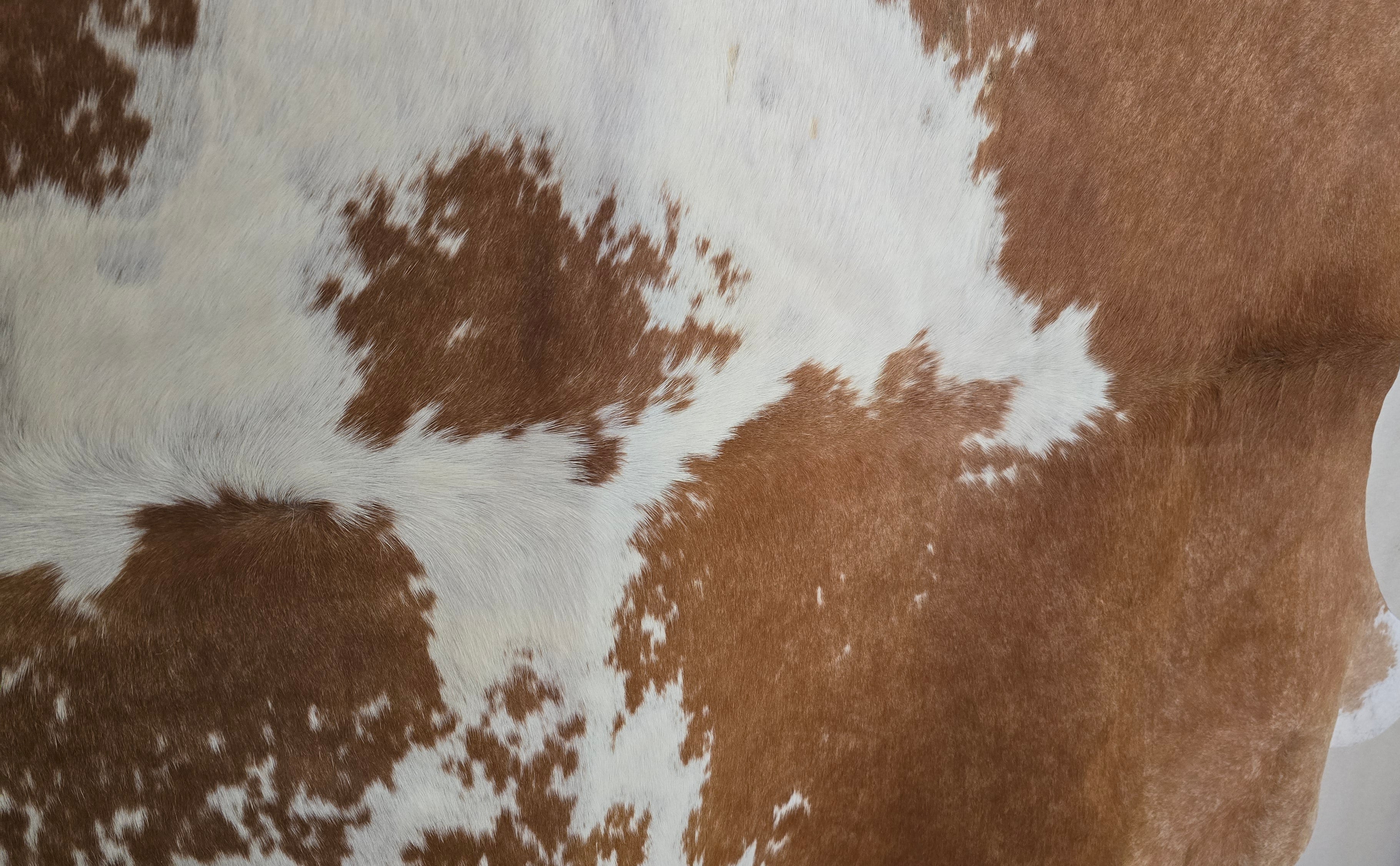 Authentic Camel and White Cowhide Rug Made in Brazil