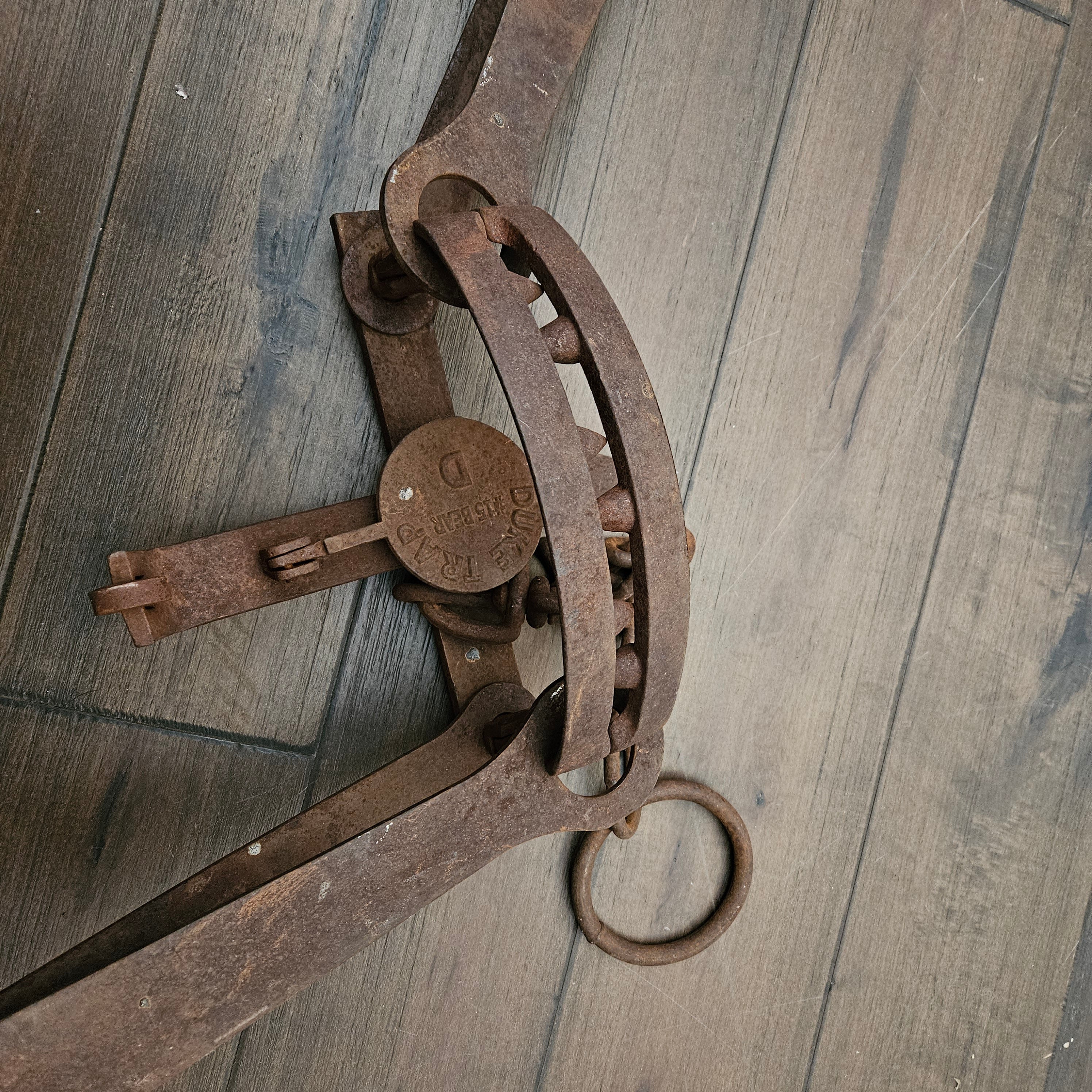 Rustic Rare 18th Century Machine Forged Bear Trap