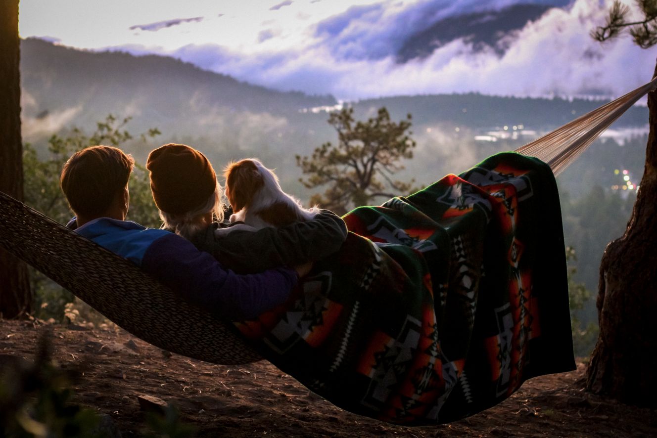 Pendleton Beaver State Green Blankets - 63"x80" Twin Size