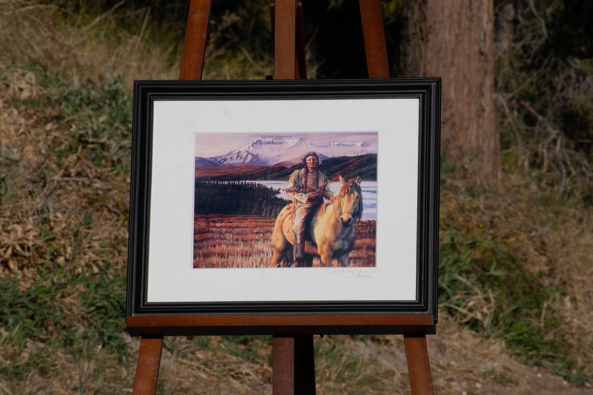 "Oyate Nimkte Wacin Yelo"  Jillana Original Painting of Native American on Horseback