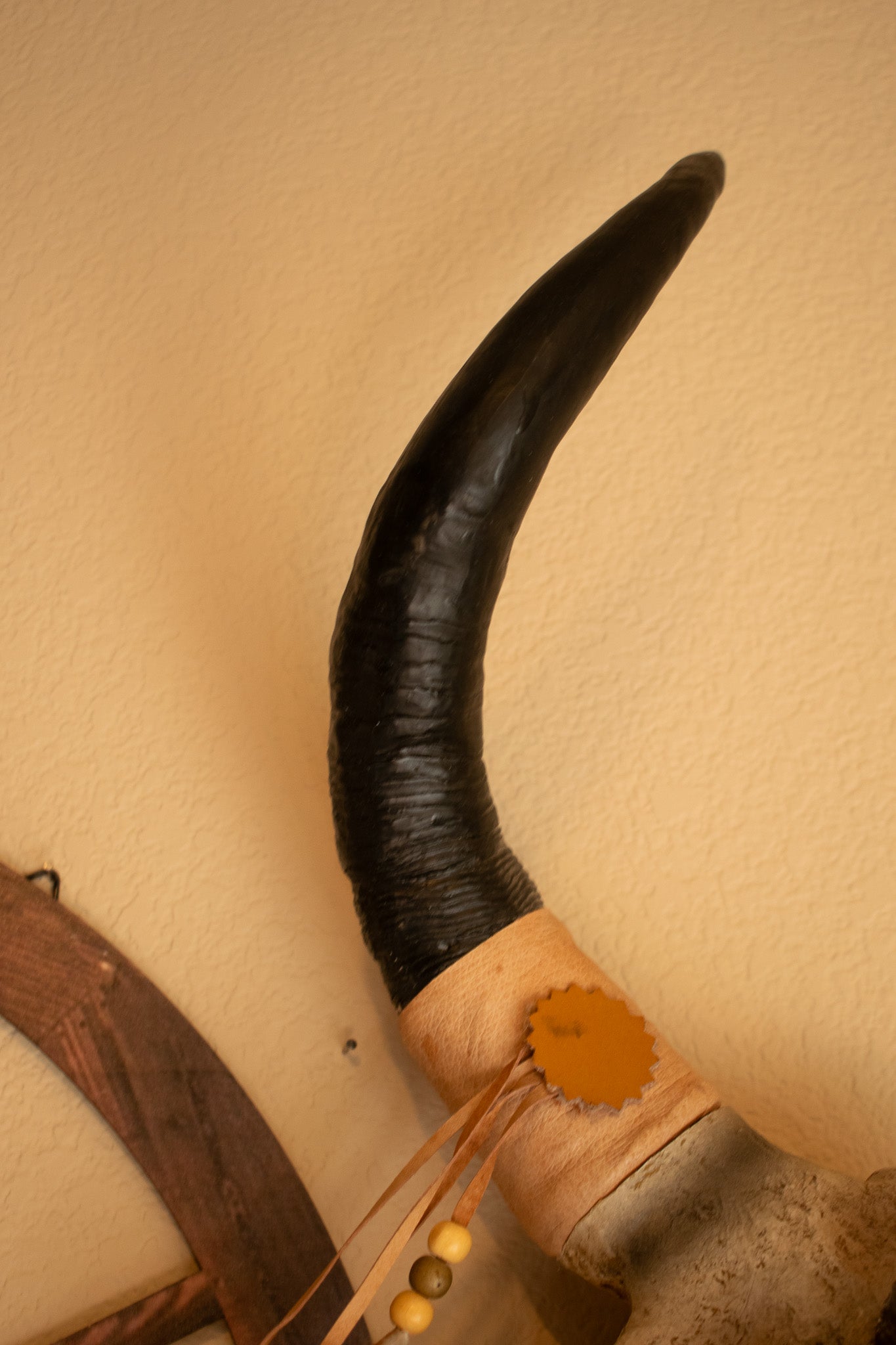"Native Indian Chief on Ceramic Cattle Skull – Detailed Wolf Skin Forehead Sculpture"